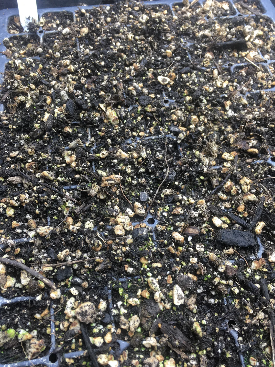 Just a good old fashioned dirt party.