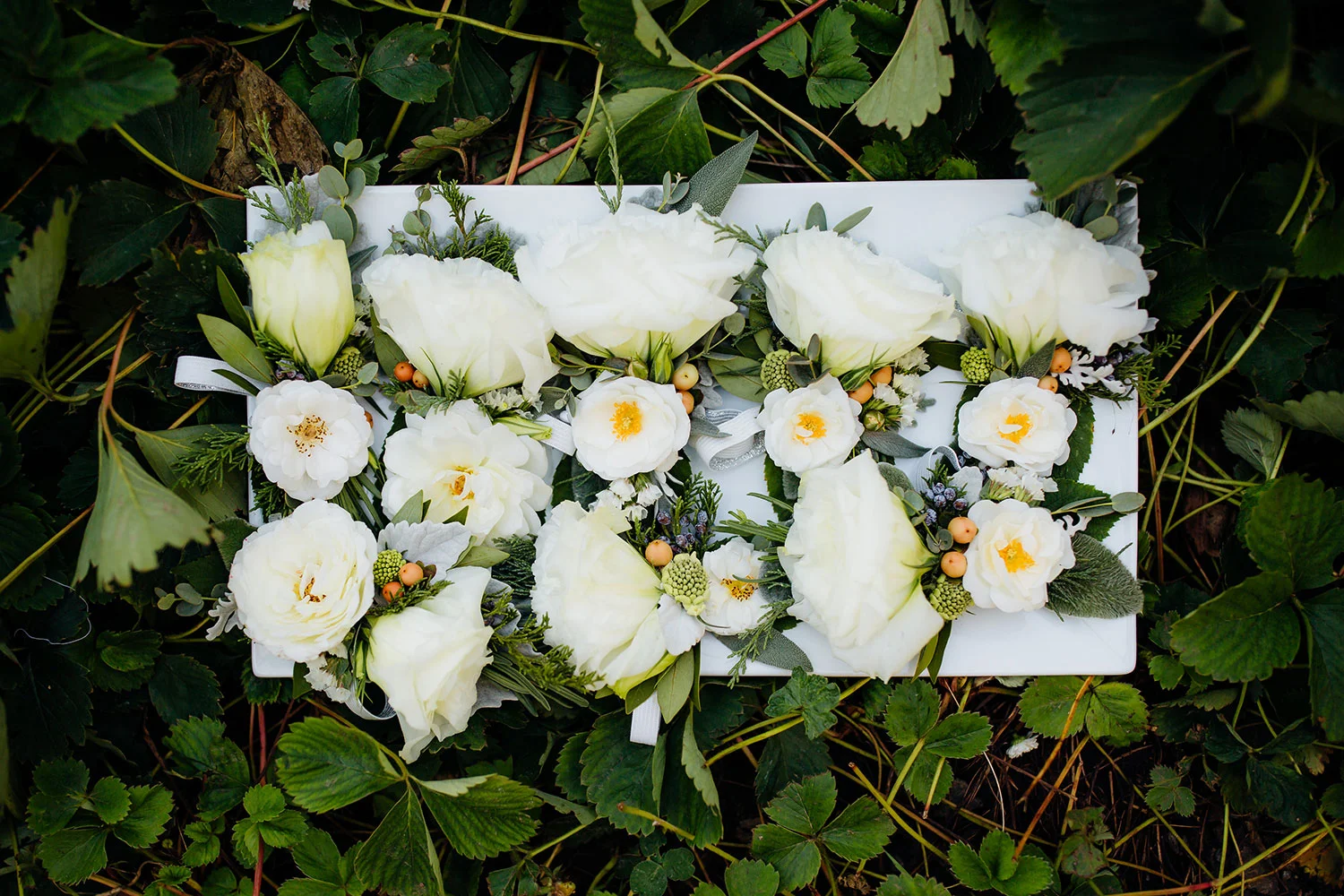 Mallory-Munson-Farmette-Flowers-Lin-Sept-2016-30.jpg