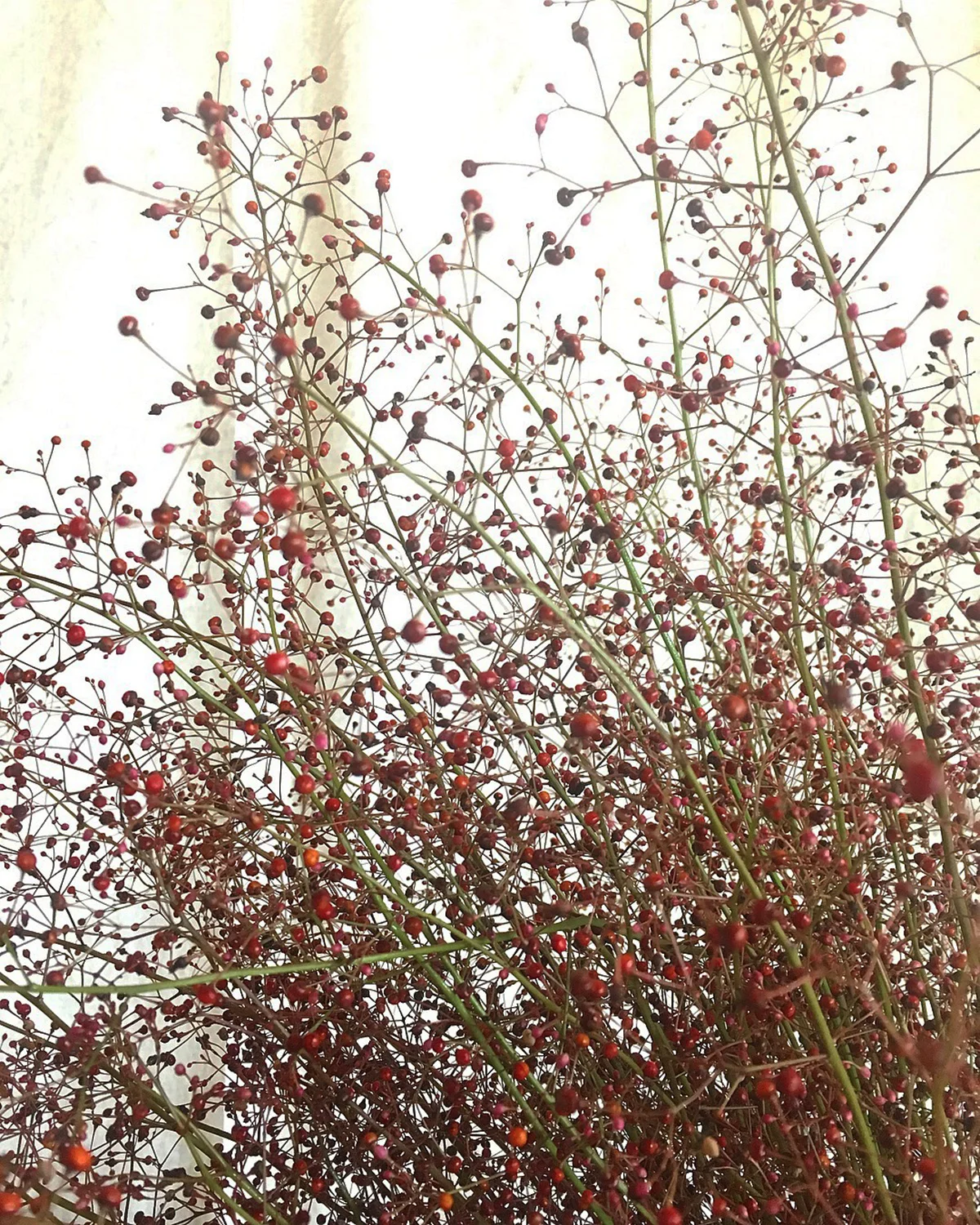 Beautiful baubles