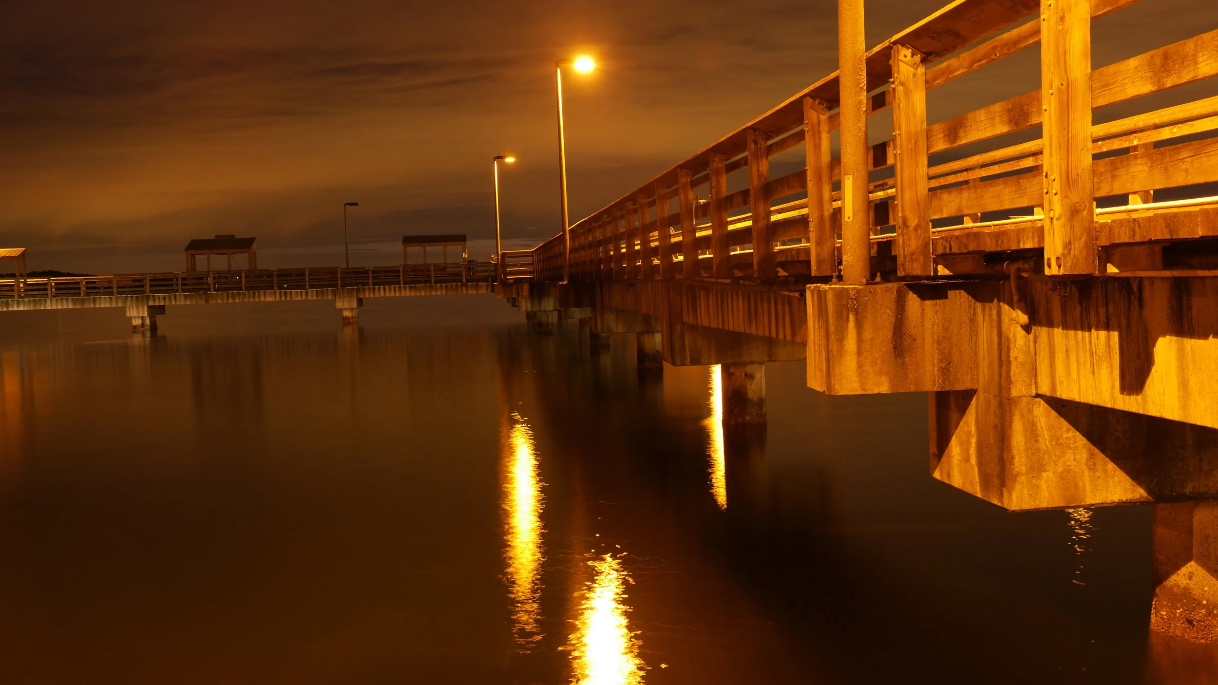 P1000613 LOVE THIS ONE.JPG