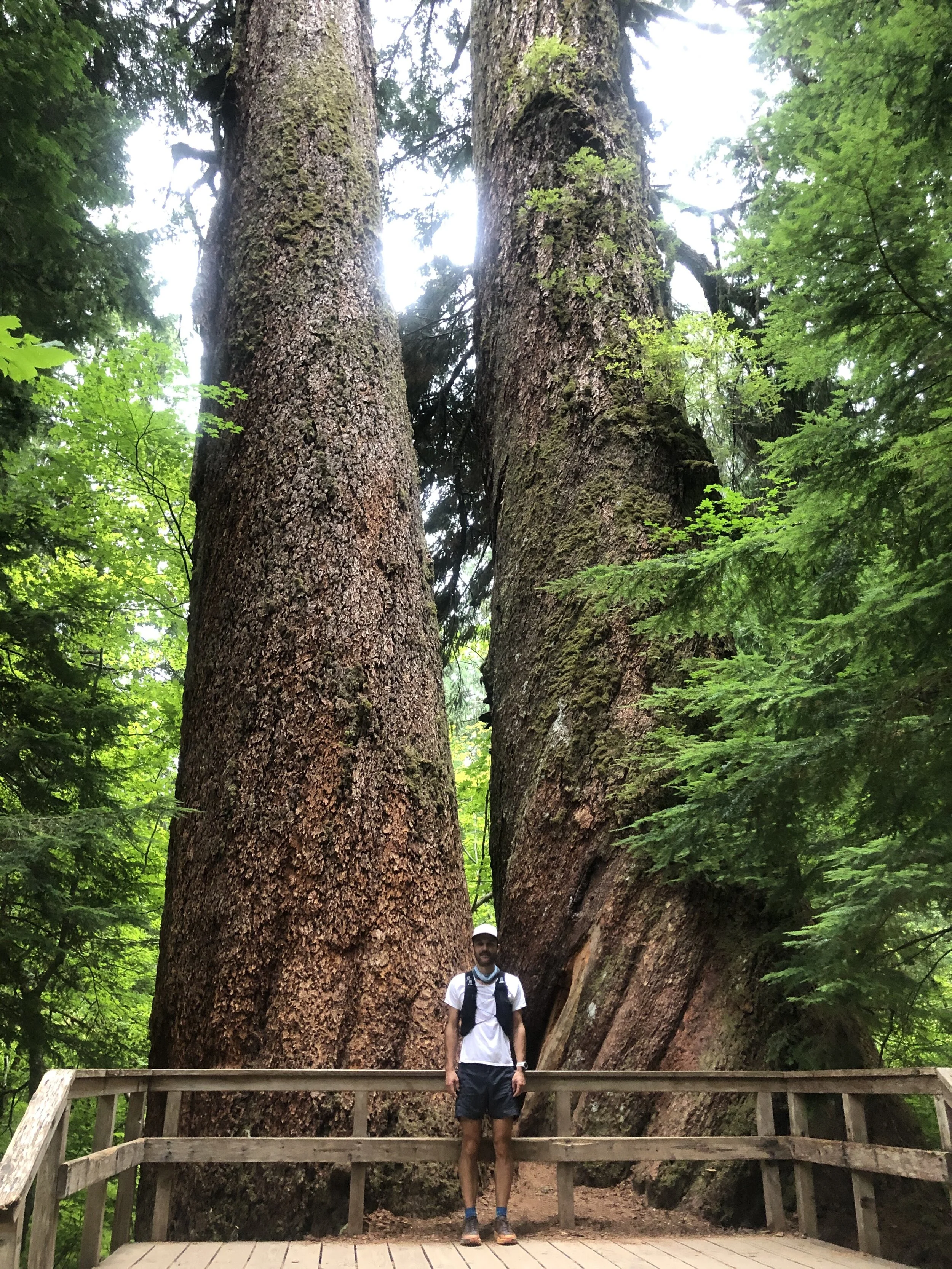 August 8th, 2020: Ultrapedestrian Chinook Pass Loop