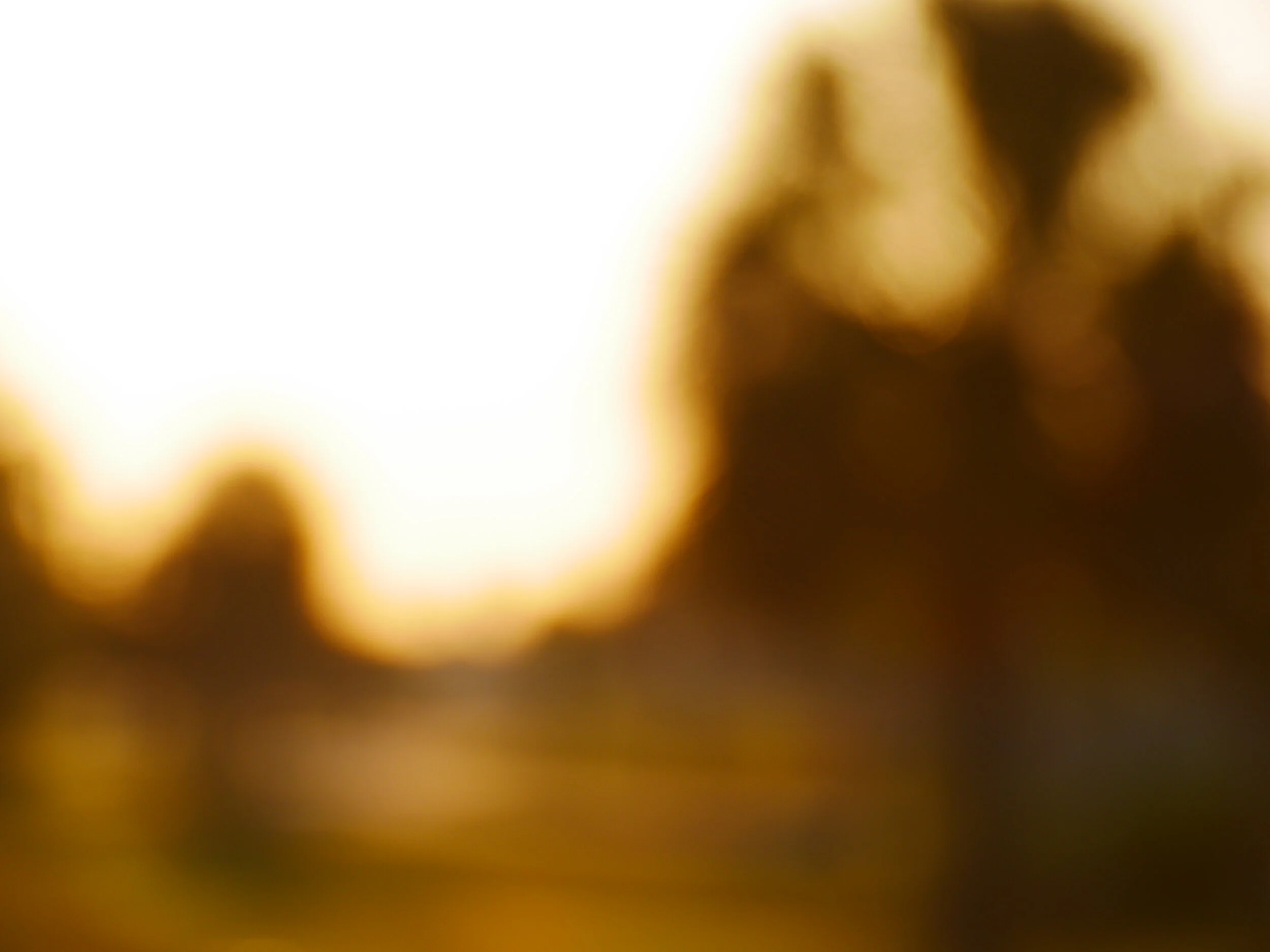 Only From My Vantage