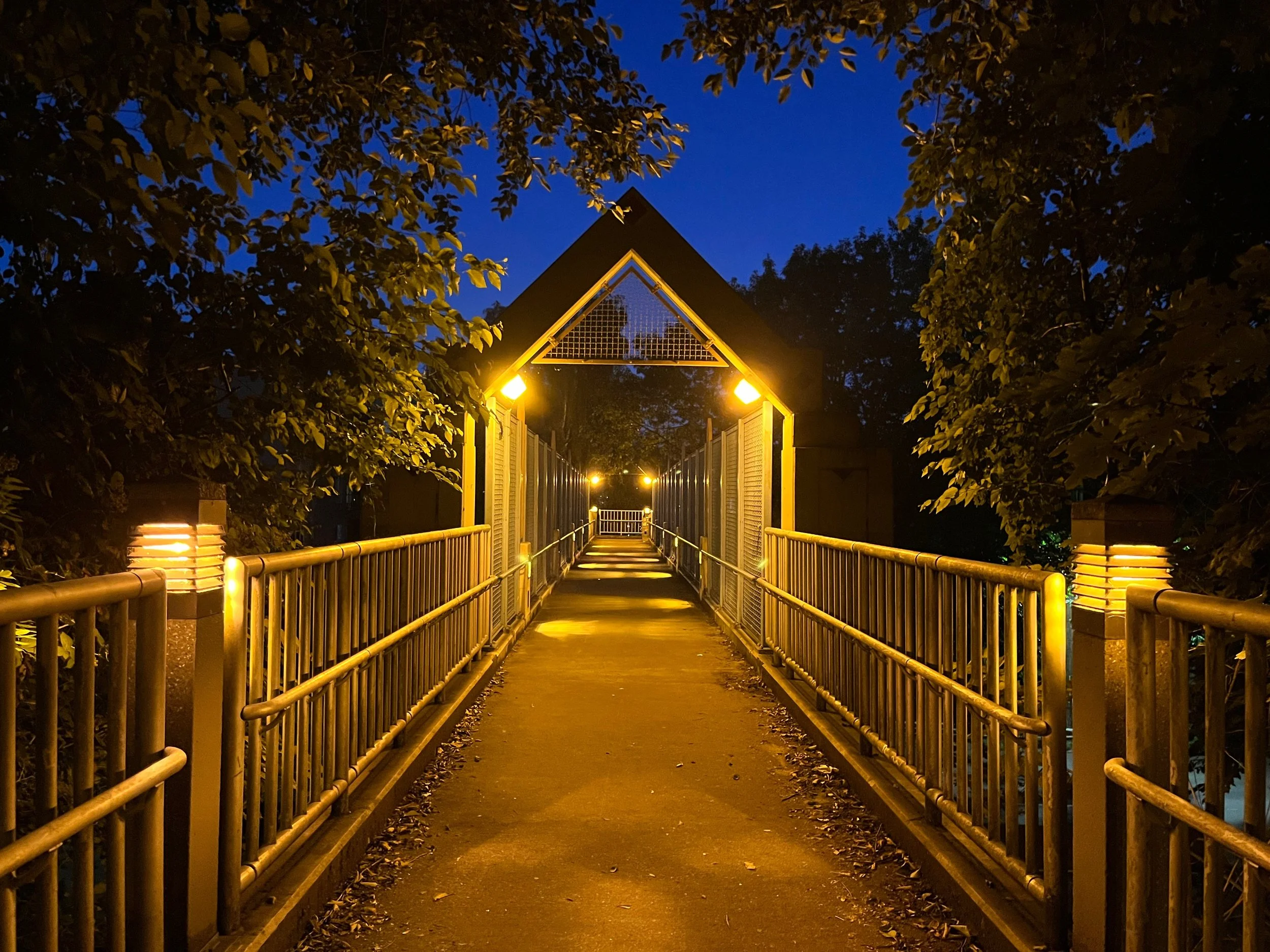 Befriending the Predator