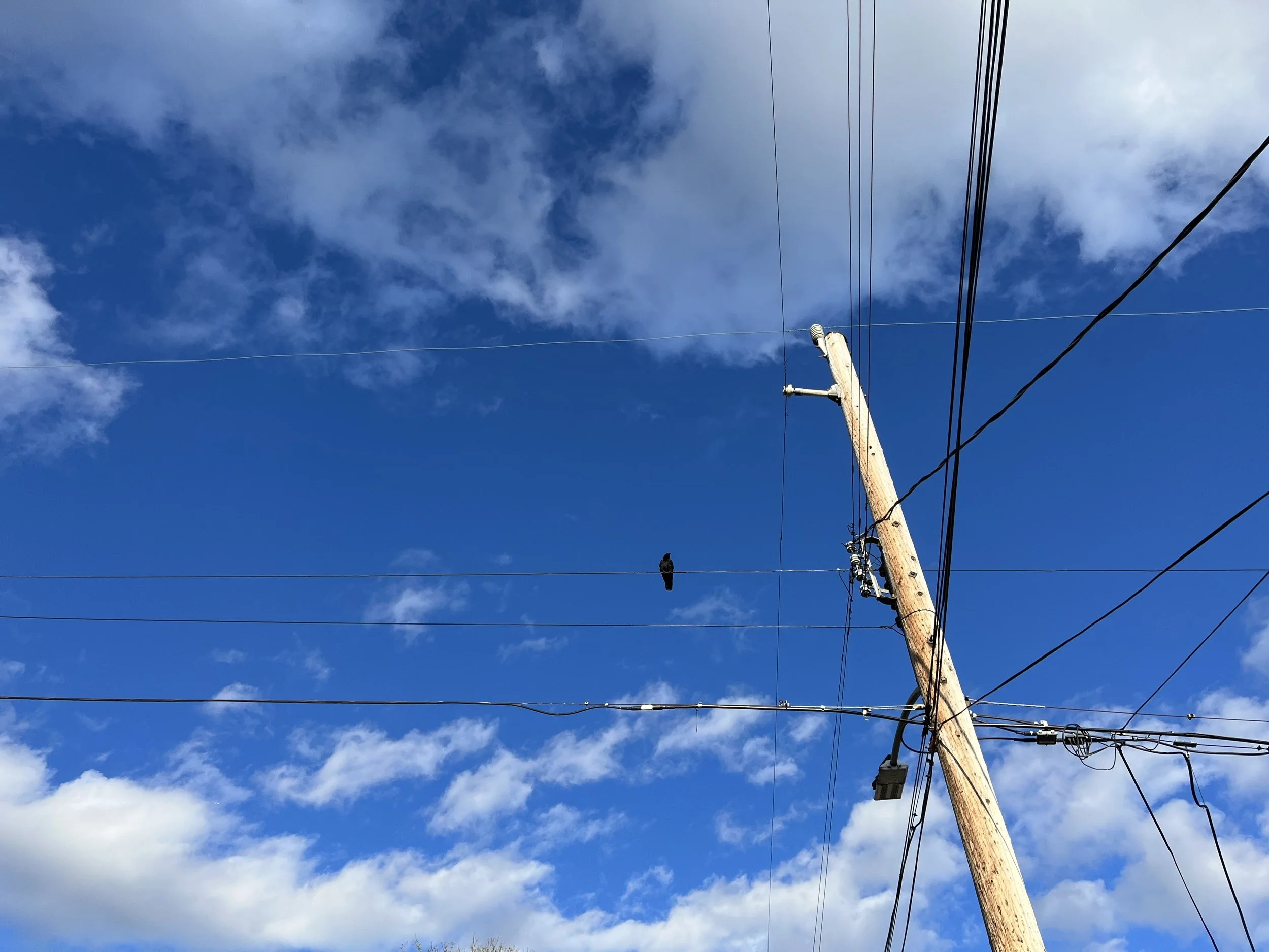 A Day Beyond Depression