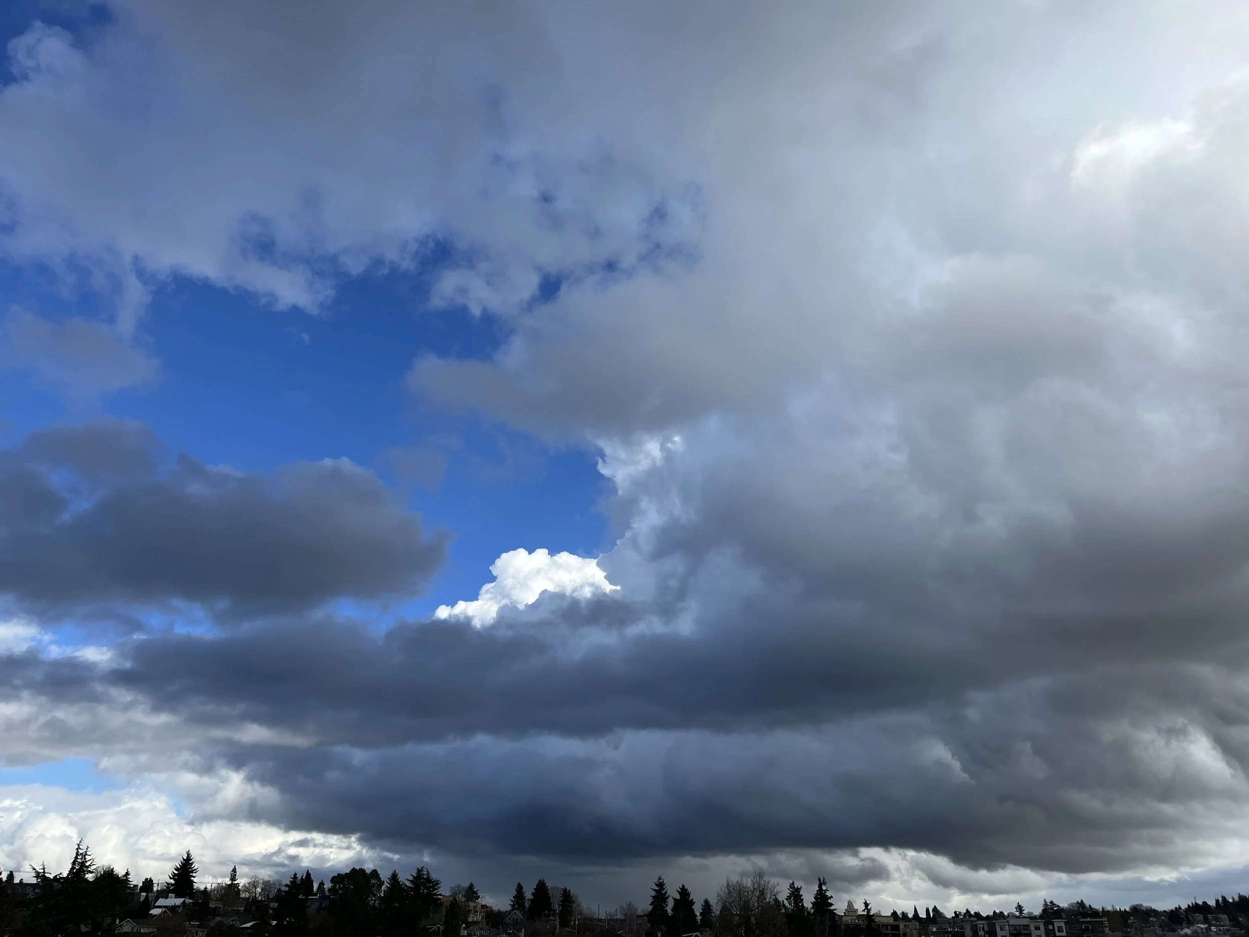 Curiosity Through The Nightmare