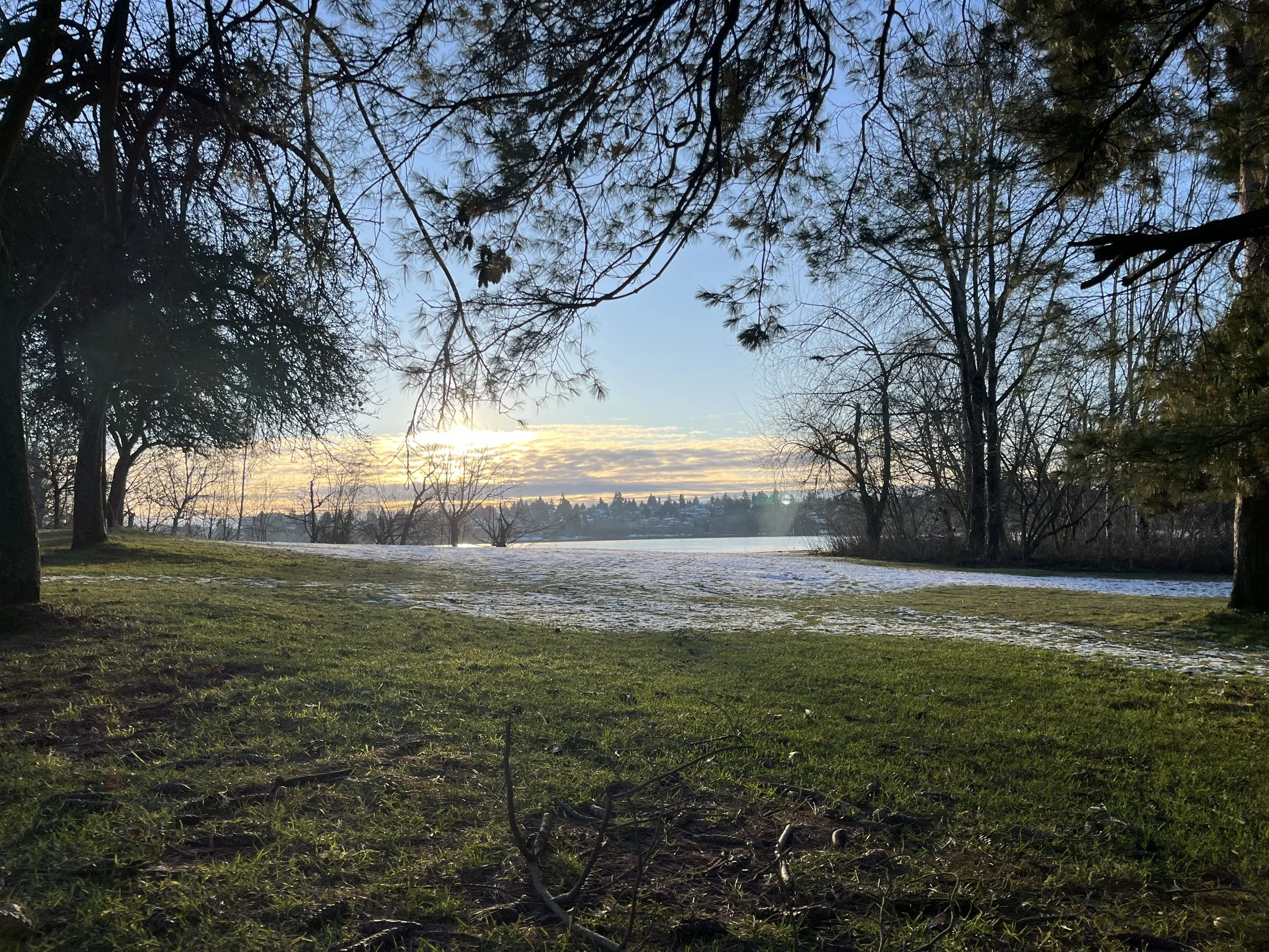 Preserving memory in amber