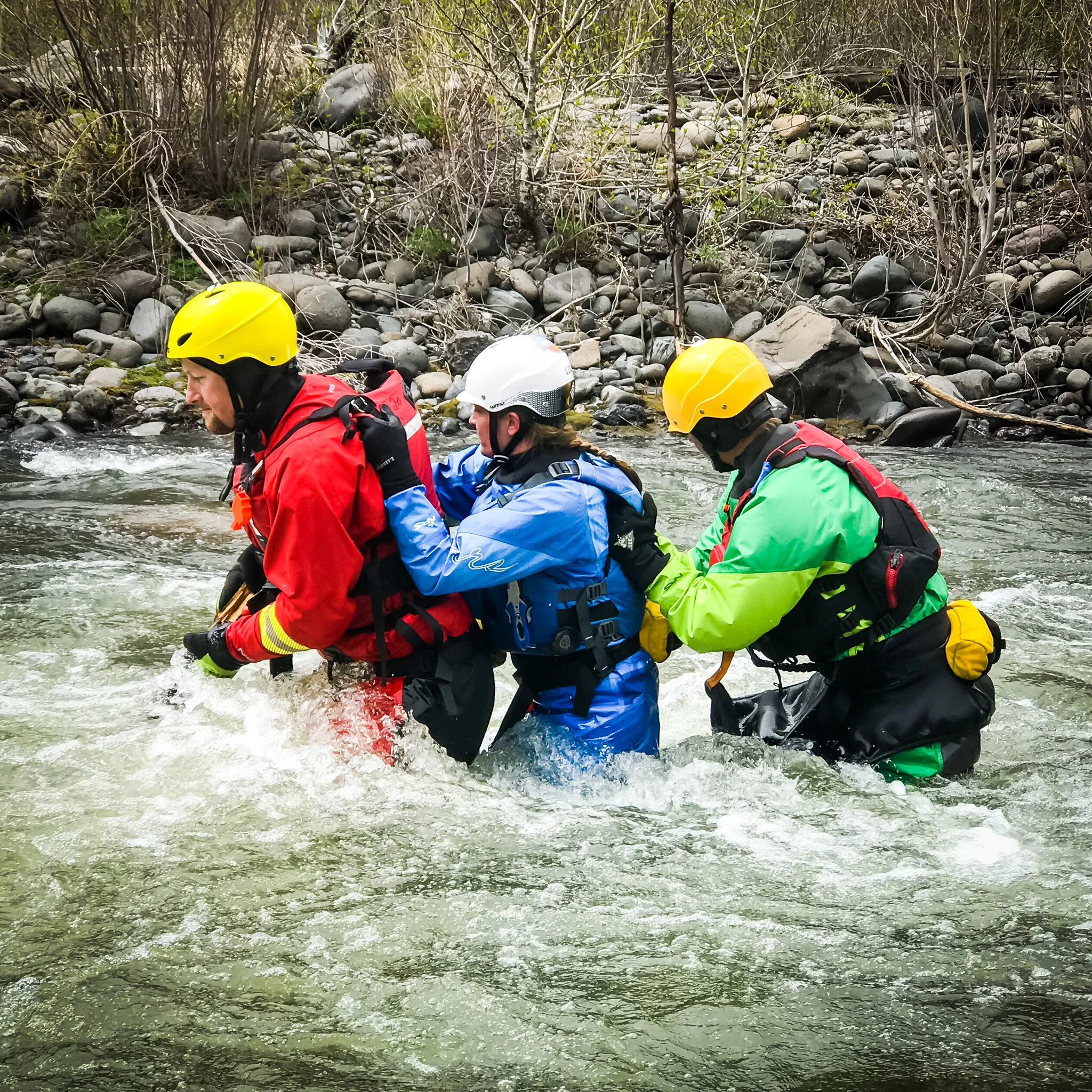 Contact Us — Black Fox Rescue Institute