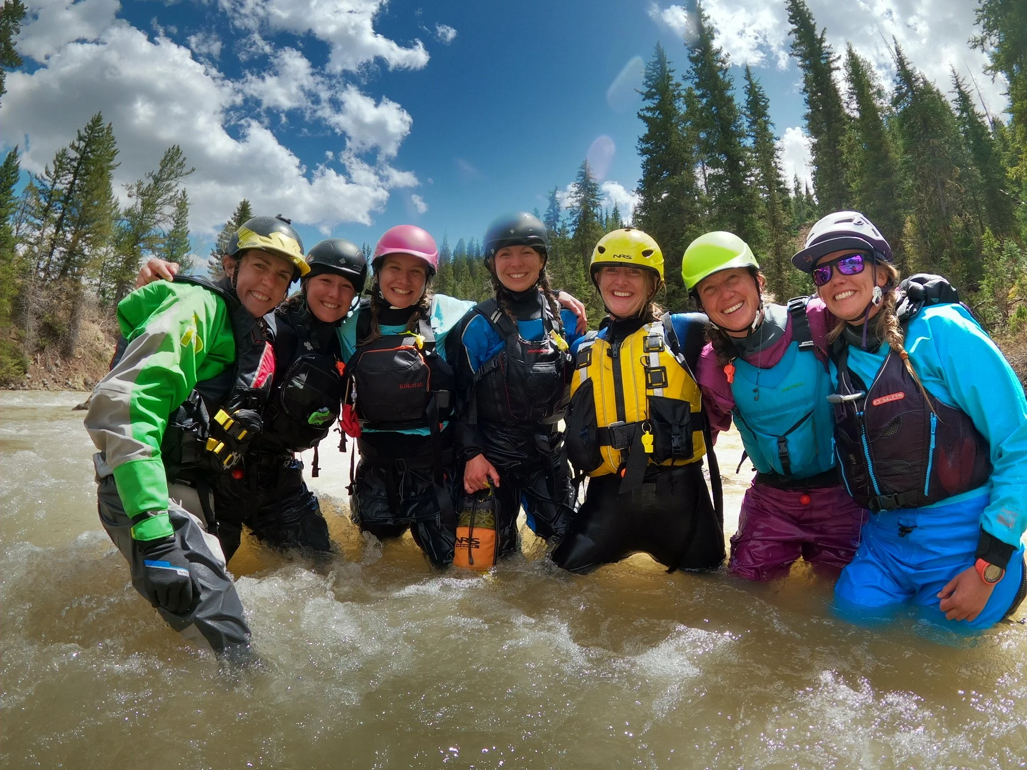 River Rescue River Rescue for the Professional — Black Fox Rescue