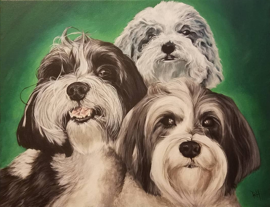 Havenese Trio 2018