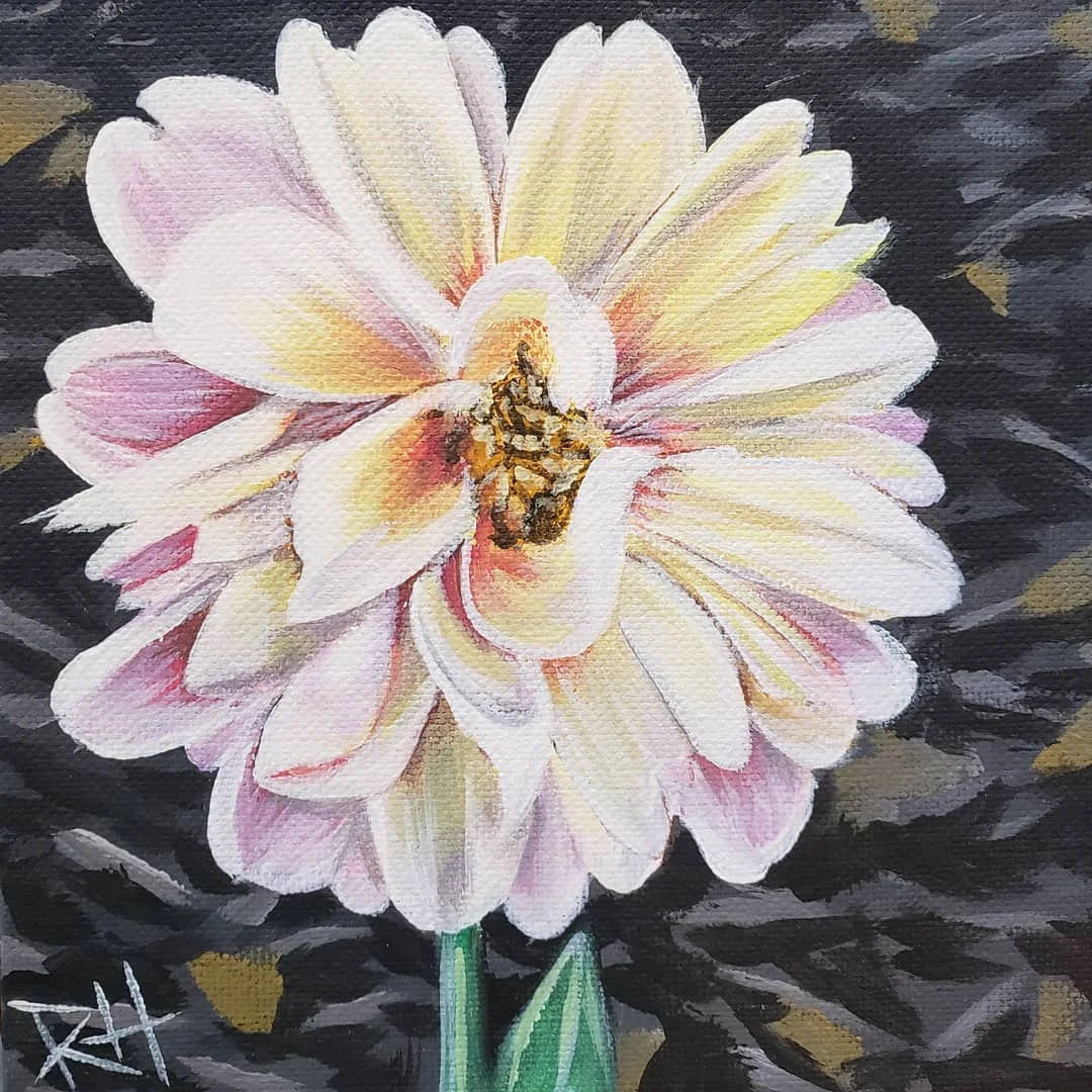 Zinnia 2018
