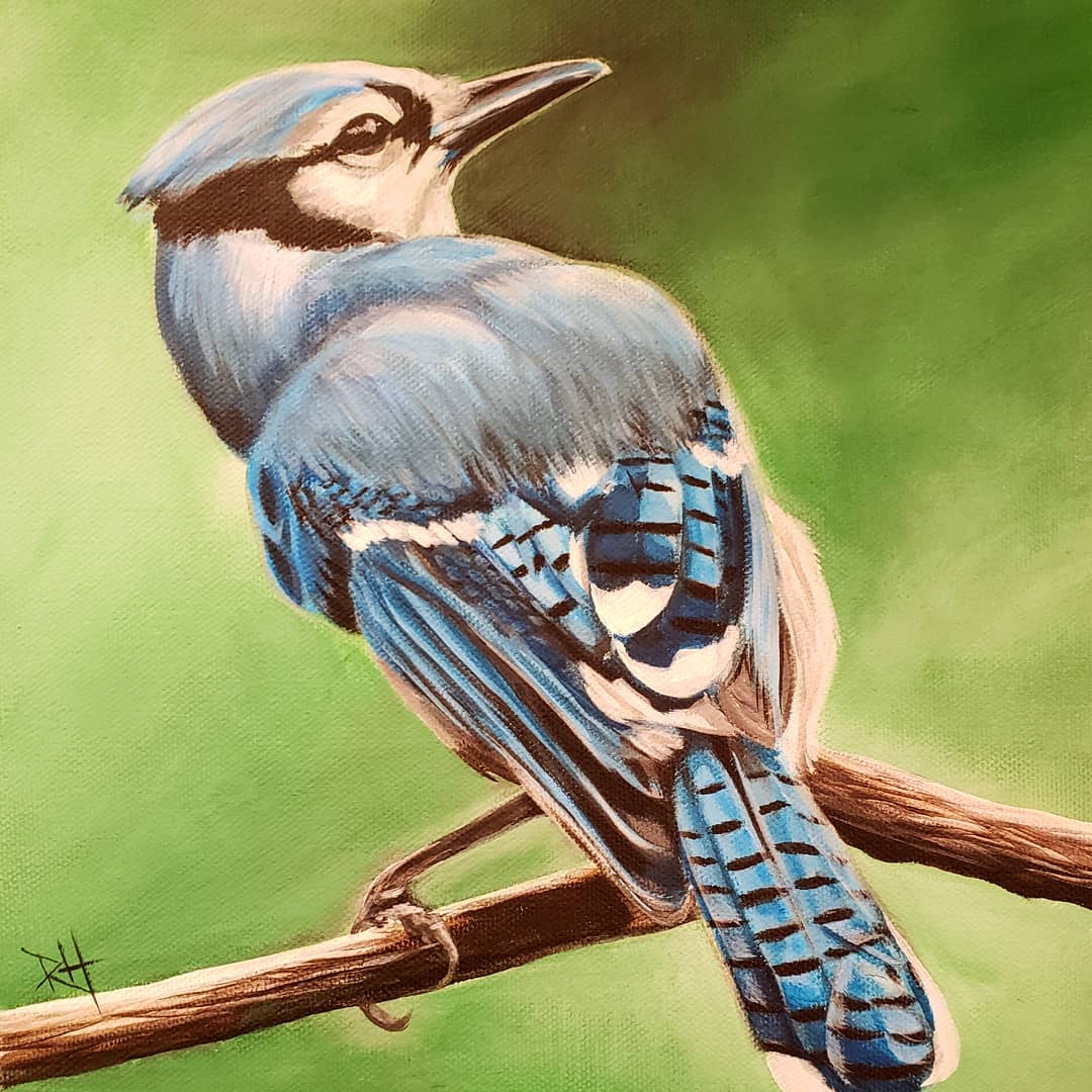 Blue Jay for Dad, 10"x10"