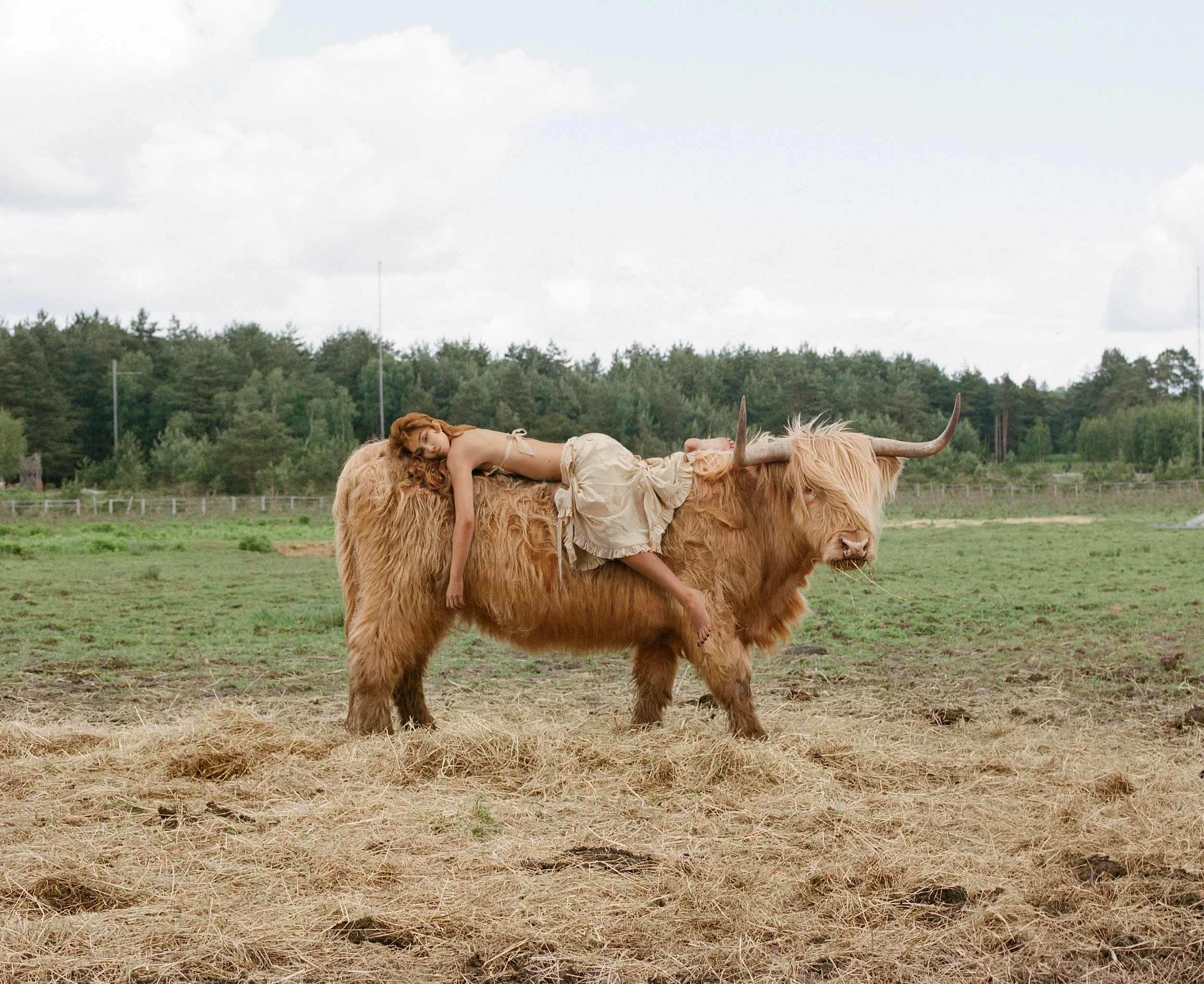 Cropped version (1).jpg