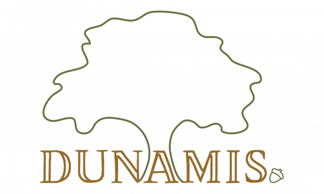 Dunamis-Logo-2-636x382.png