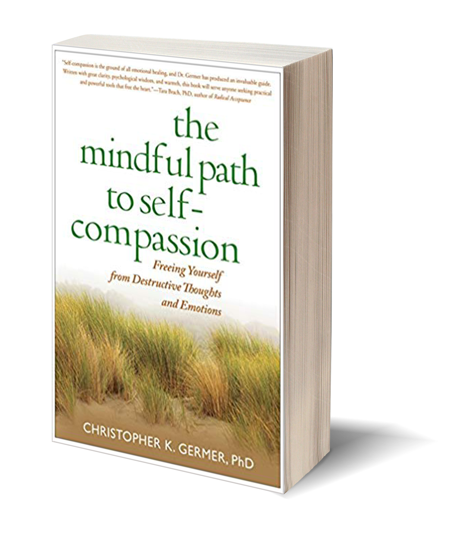 The Mindful Path to Self-Compassion - Freeing Yourself from Destructive Thoughts and Emotions