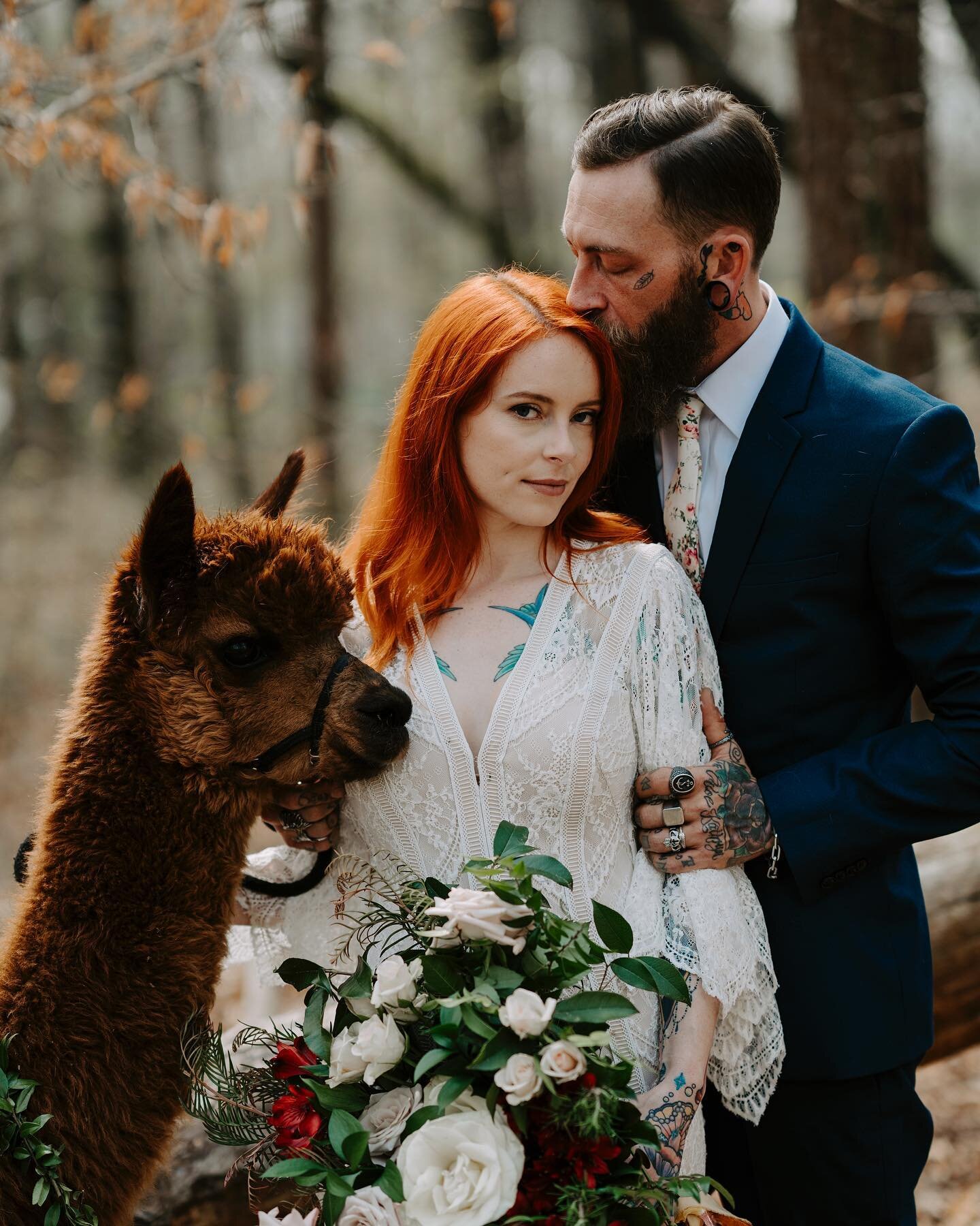 Can I just say if you&rsquo;re looking to add something unique fluffy and adorable to your small wedding or elopement I highly recommend alpacas! They are the sweetest creatures ever and make for some really cute photos! 😍
.
Planning / styling: @mar