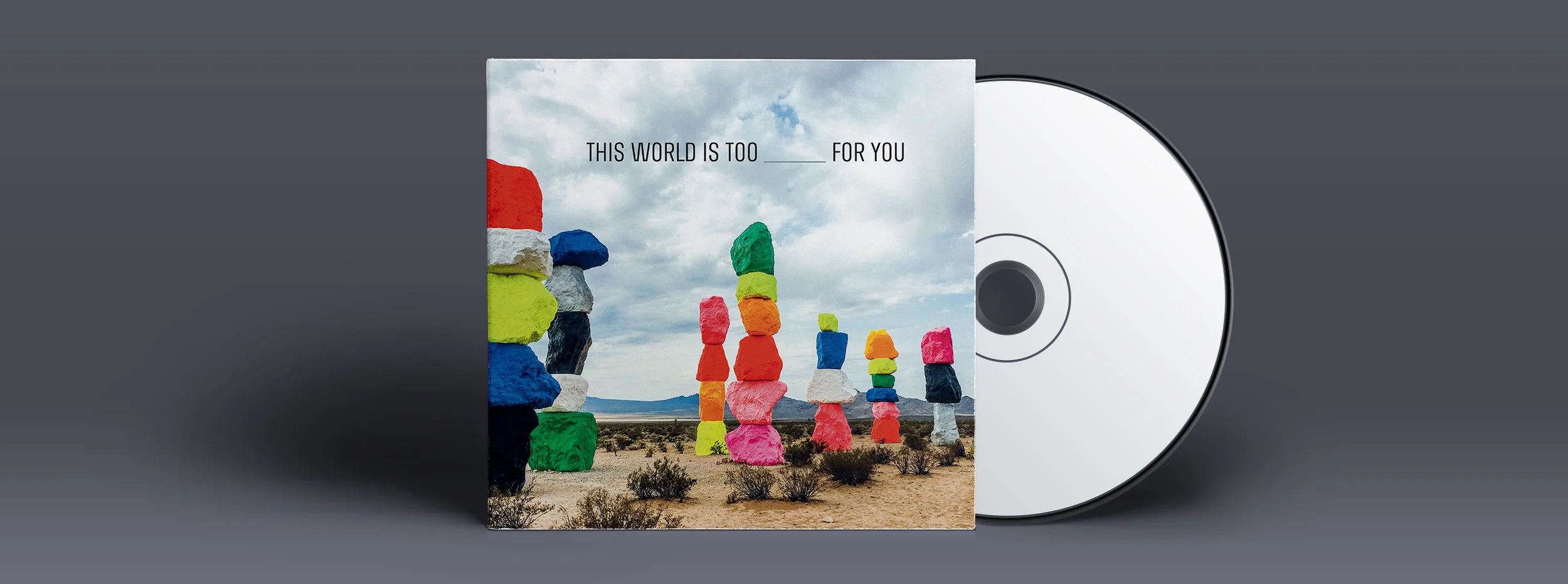 Disk-and-Cover-Presentation-Mock-up_Wells3.jpg