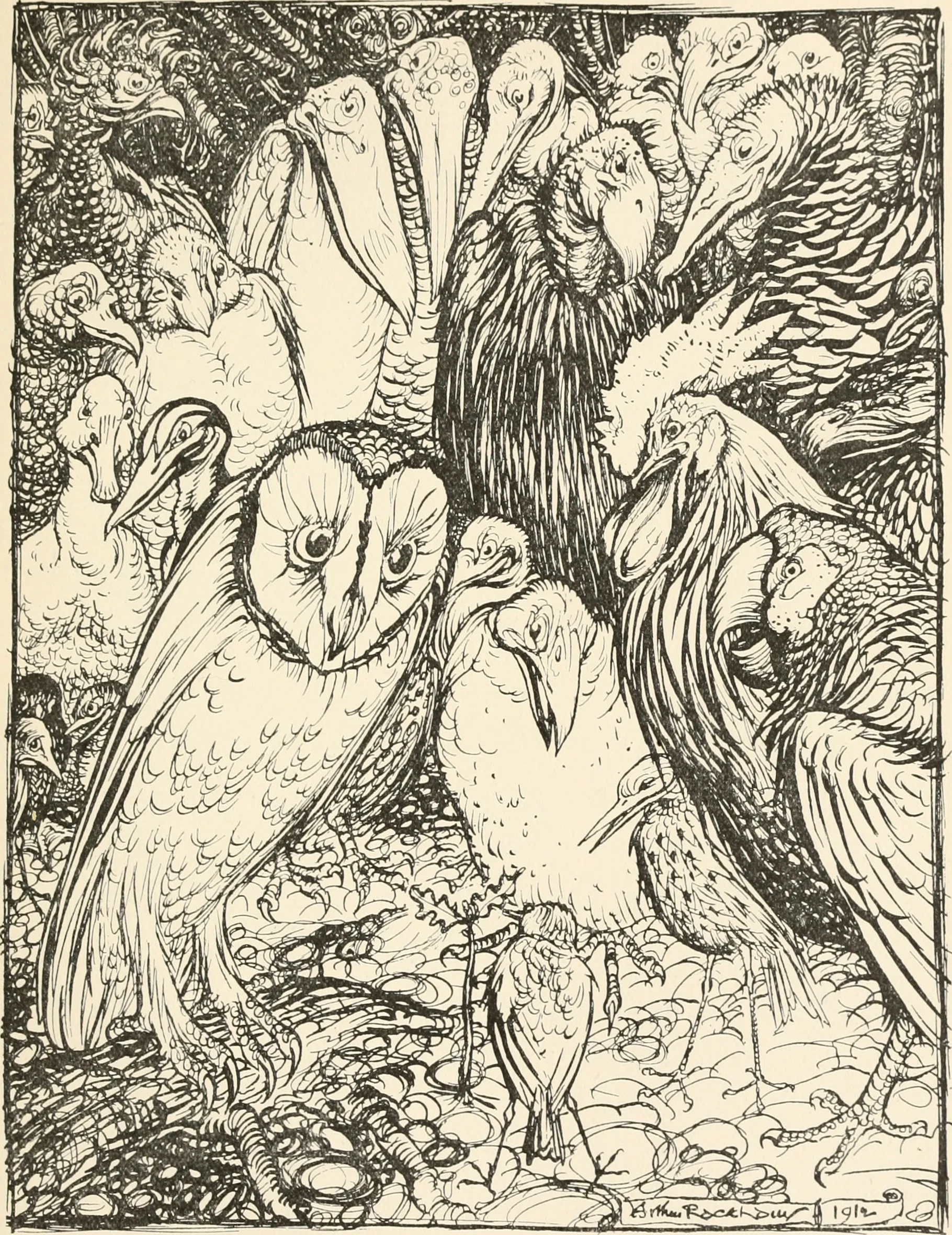 Tales from the Aviary