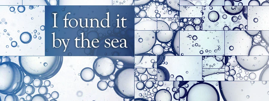 I found it by the sea