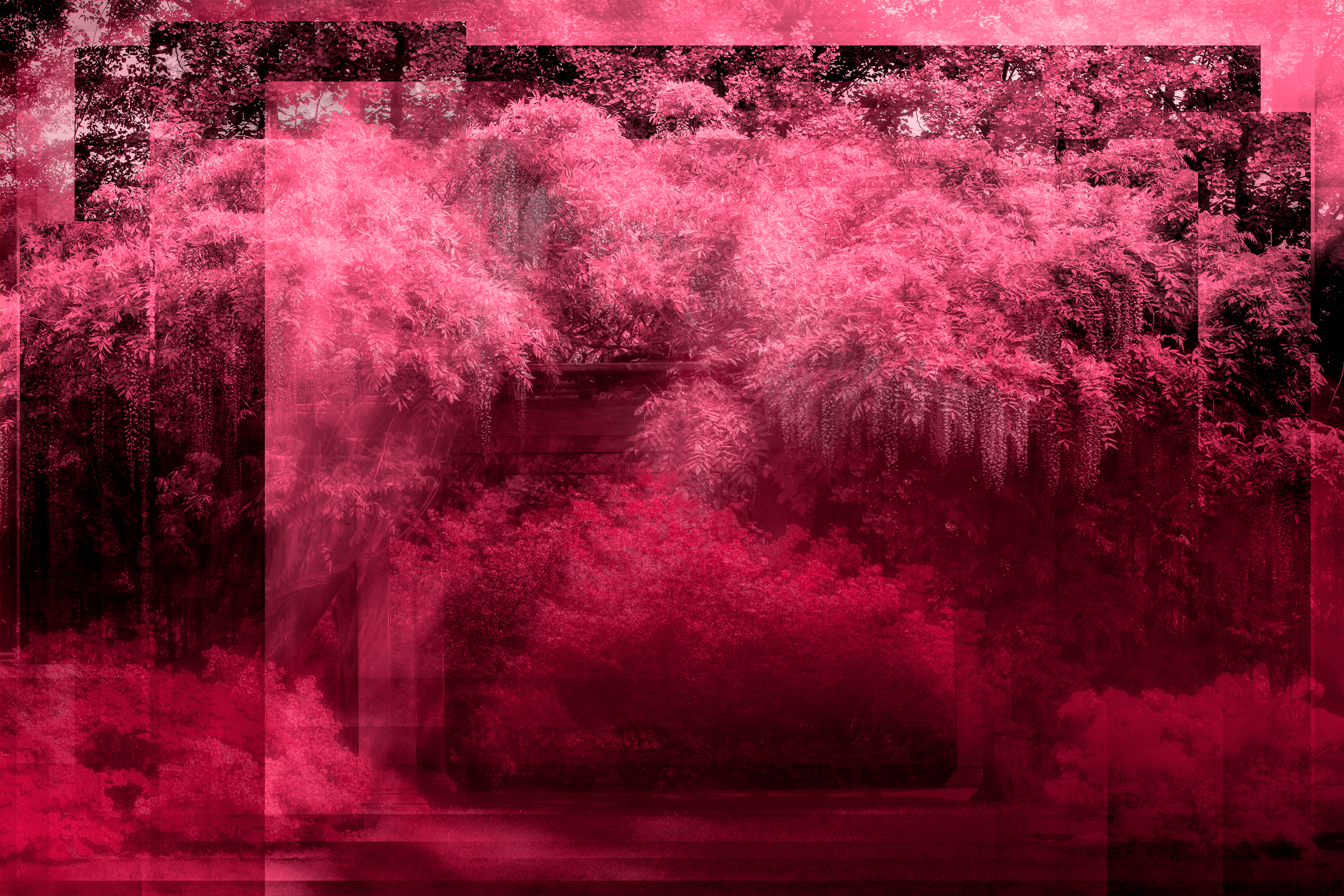 Banner Image 1 - Half Size.png