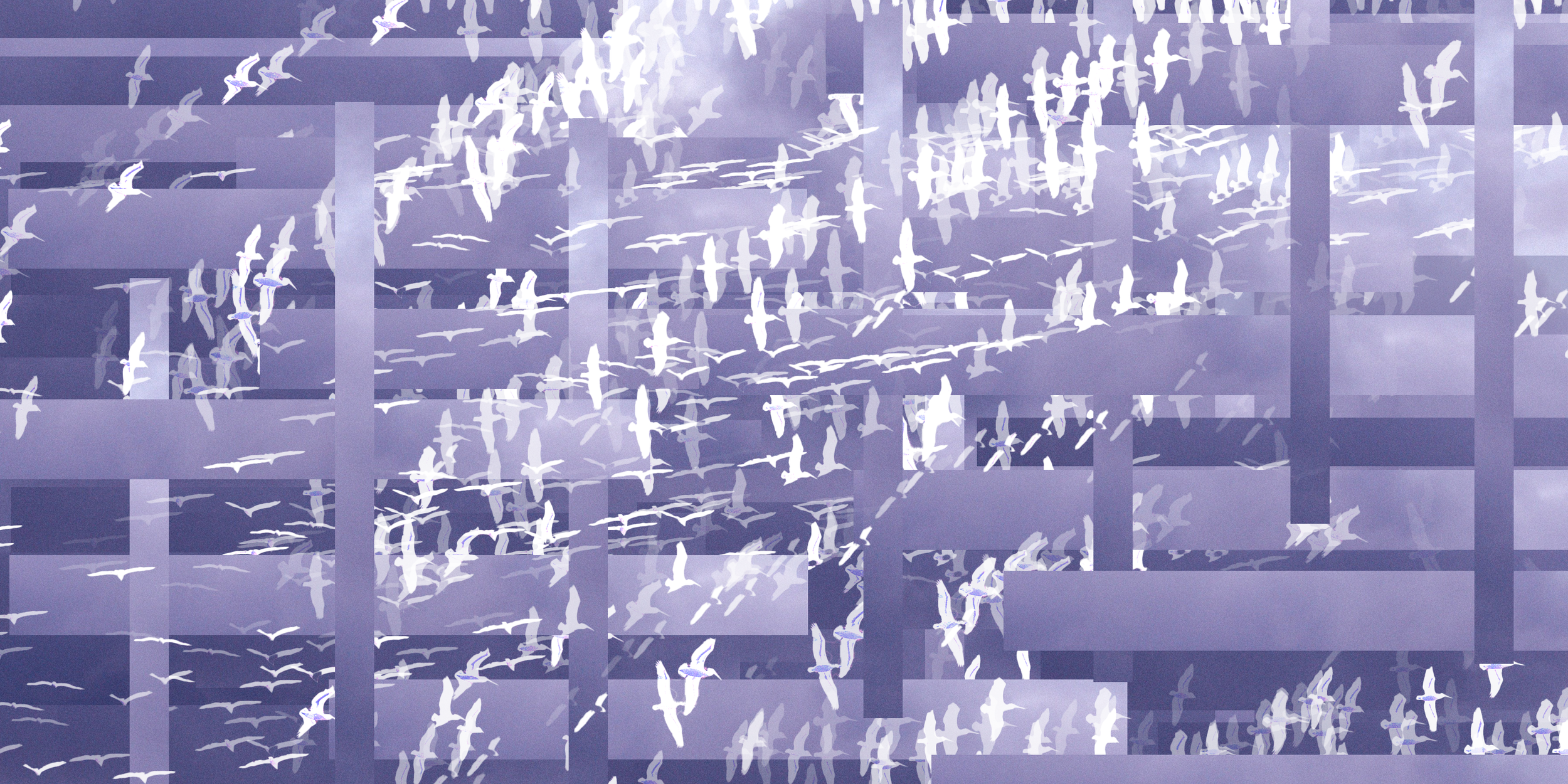 Migration Before the Storm