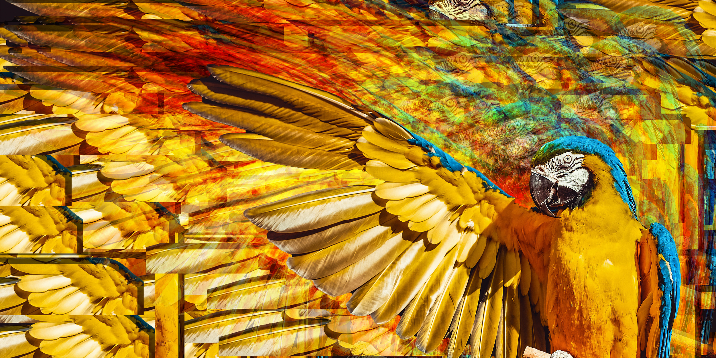 Wingbeat