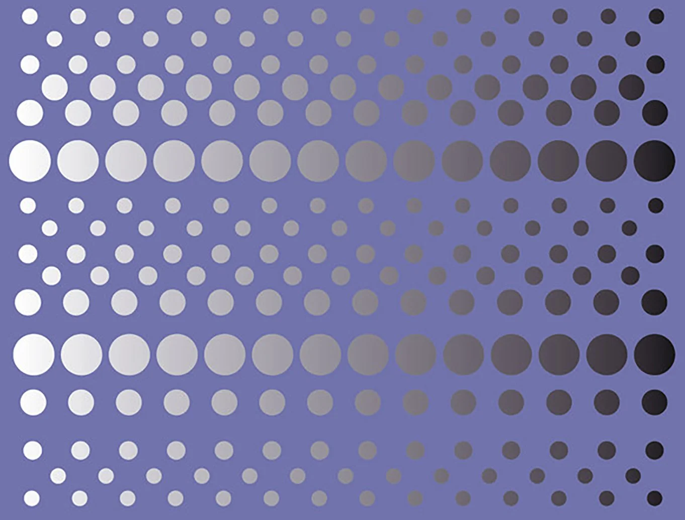 ab67616d0000b273311a9efd13a07b9a1f192ed3b.jpg