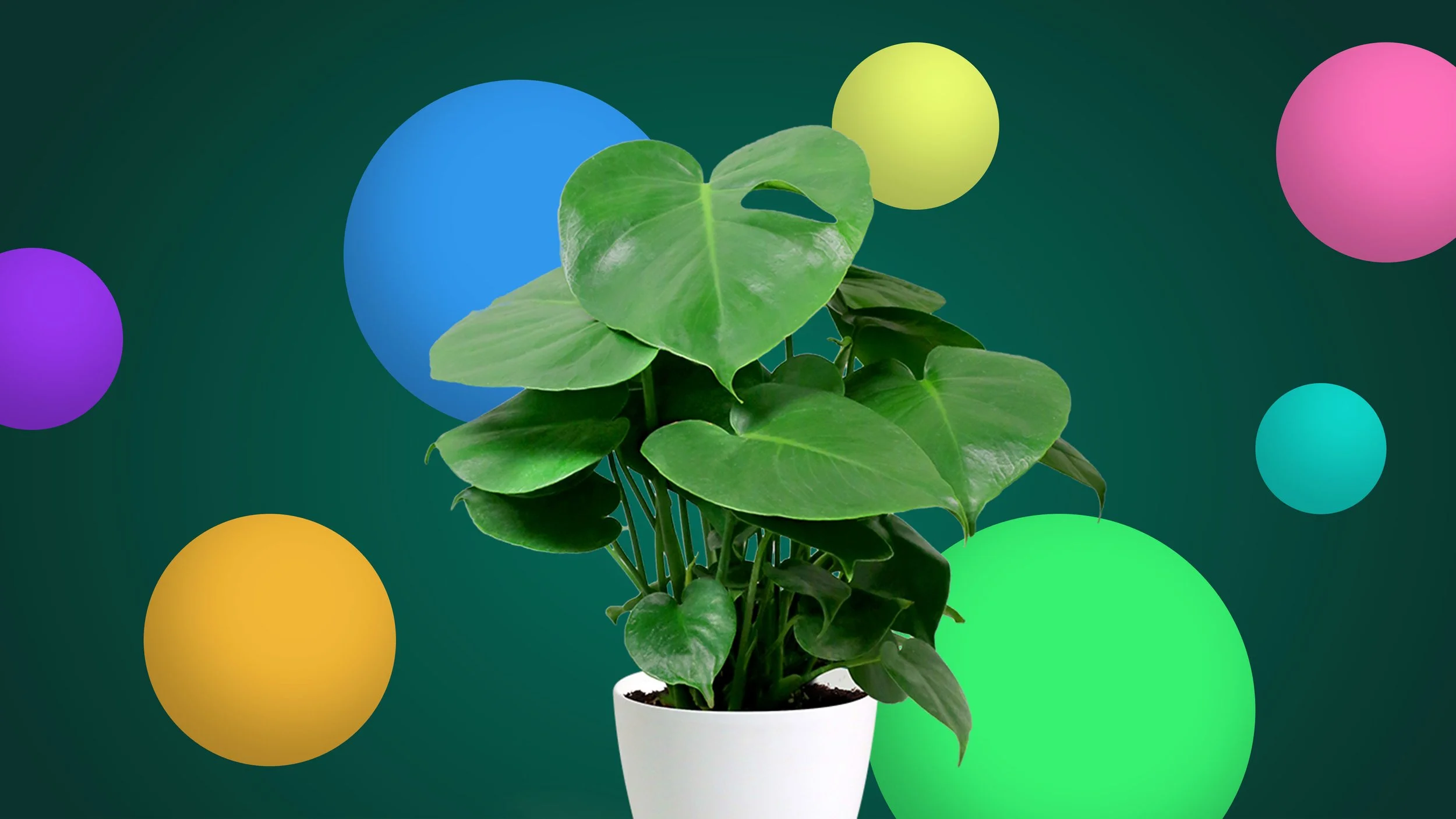 SoundGarden: Metropolis Kids