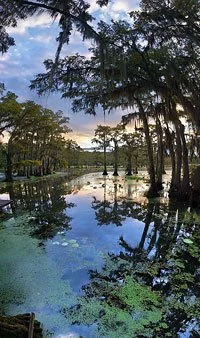 A World of Sound in Brooklyn