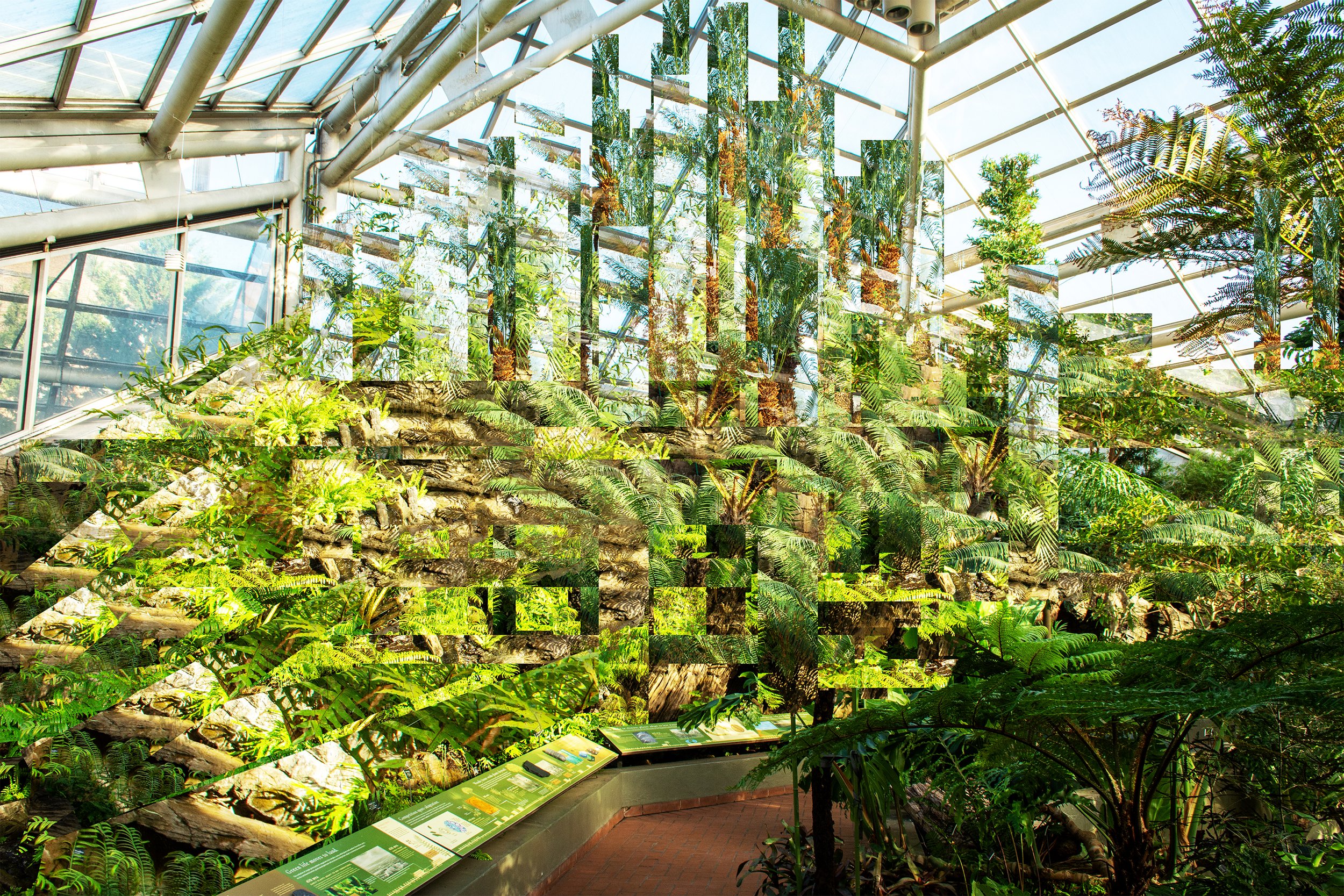 Biophony: SoundGarden