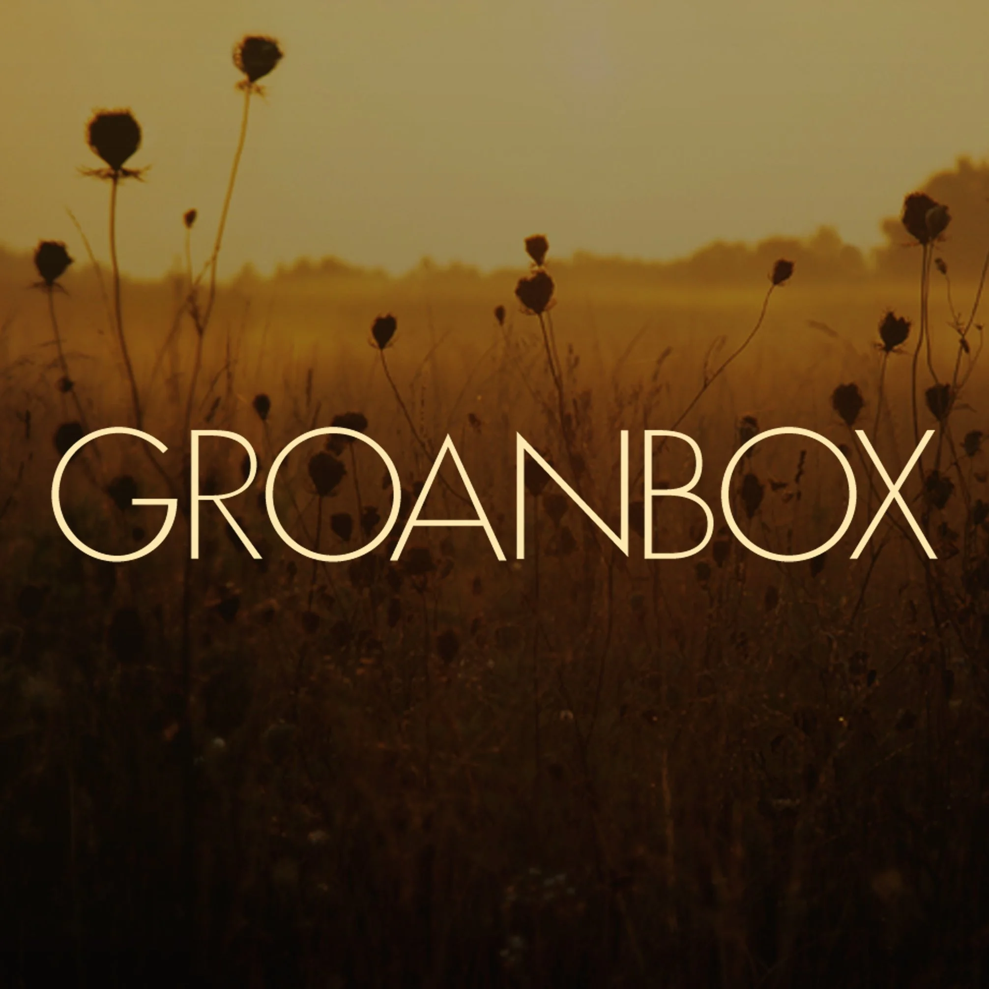 Live Recording: Groanbox