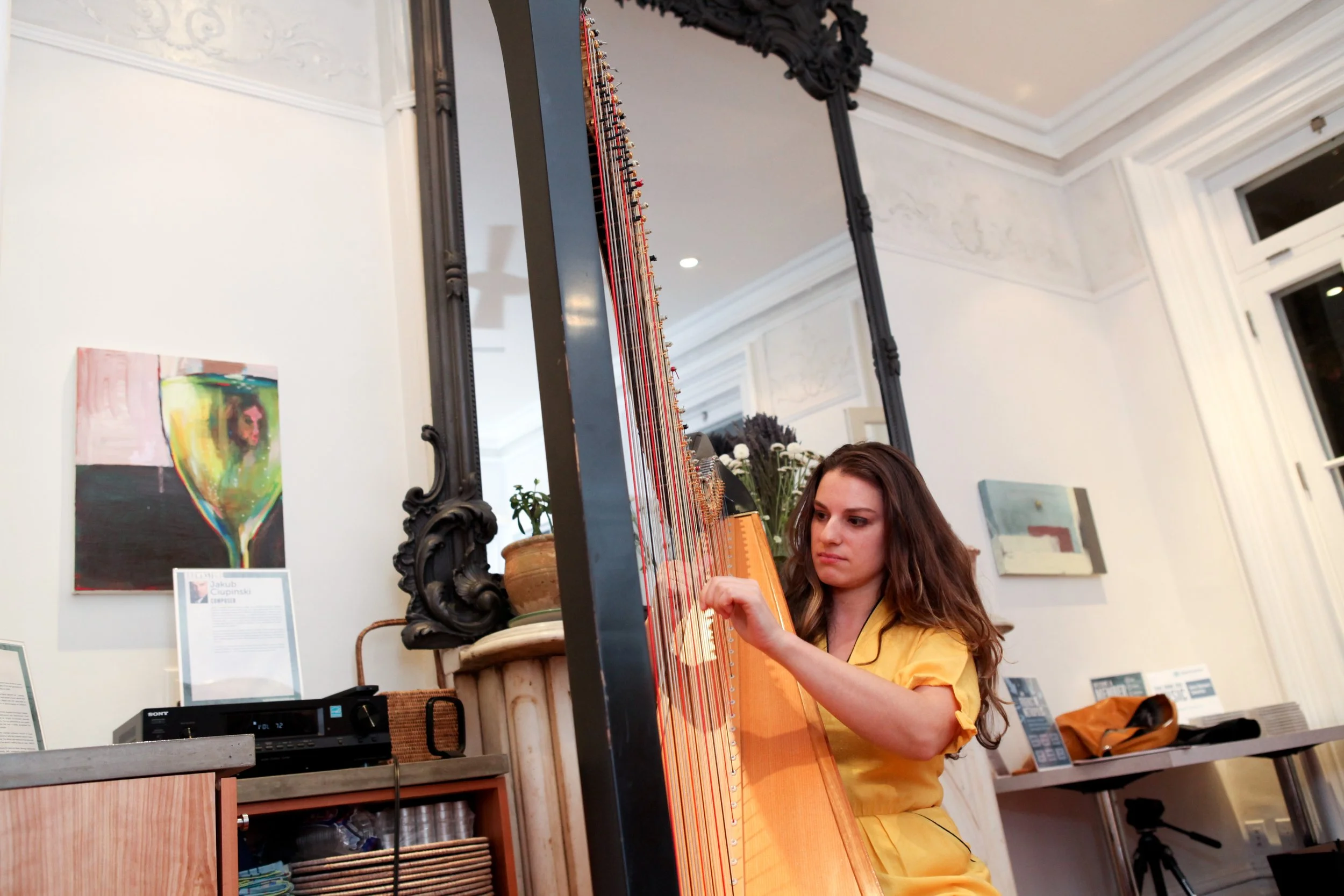 brownstone_harp_5413jpg_5161866202_o.jpg