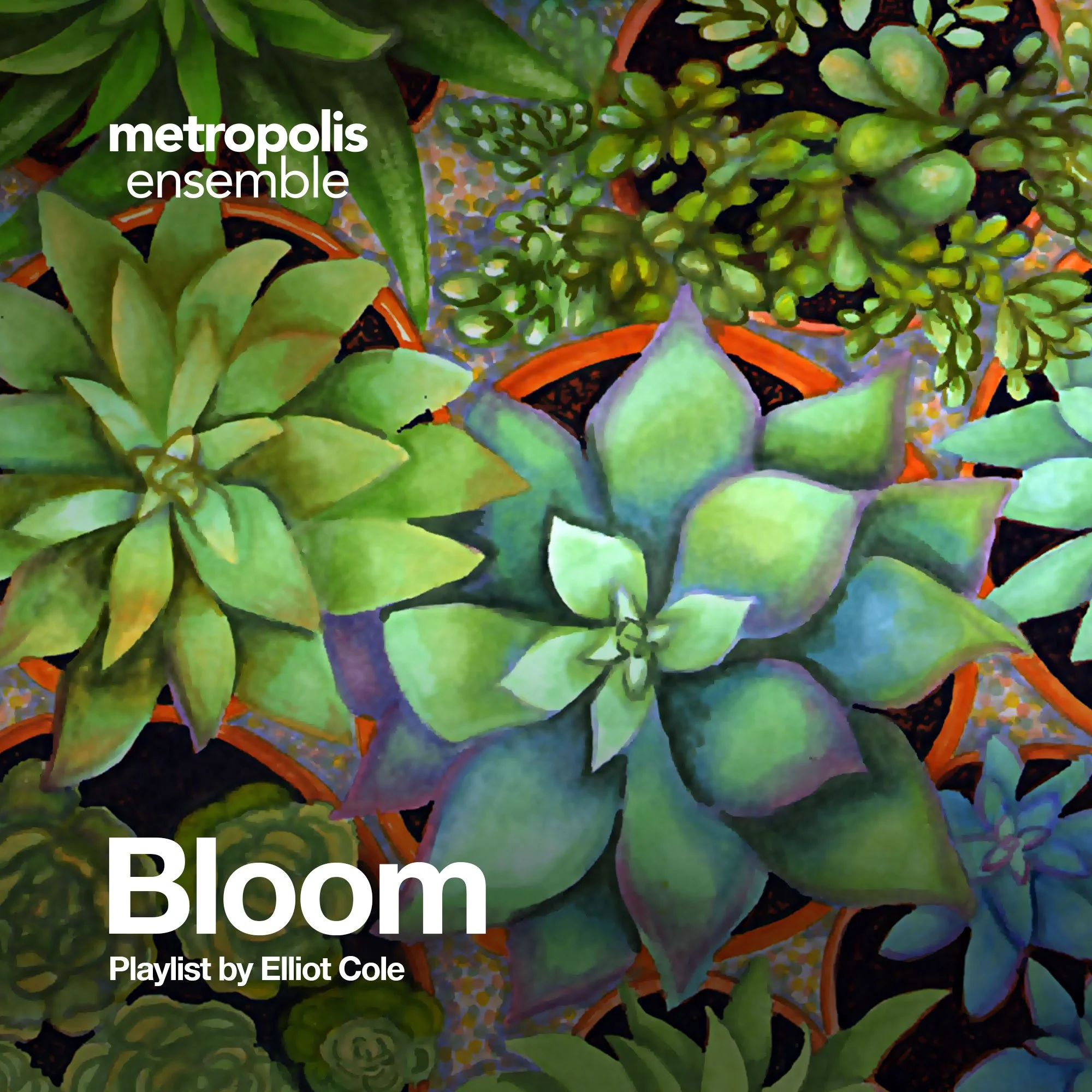 Bloom