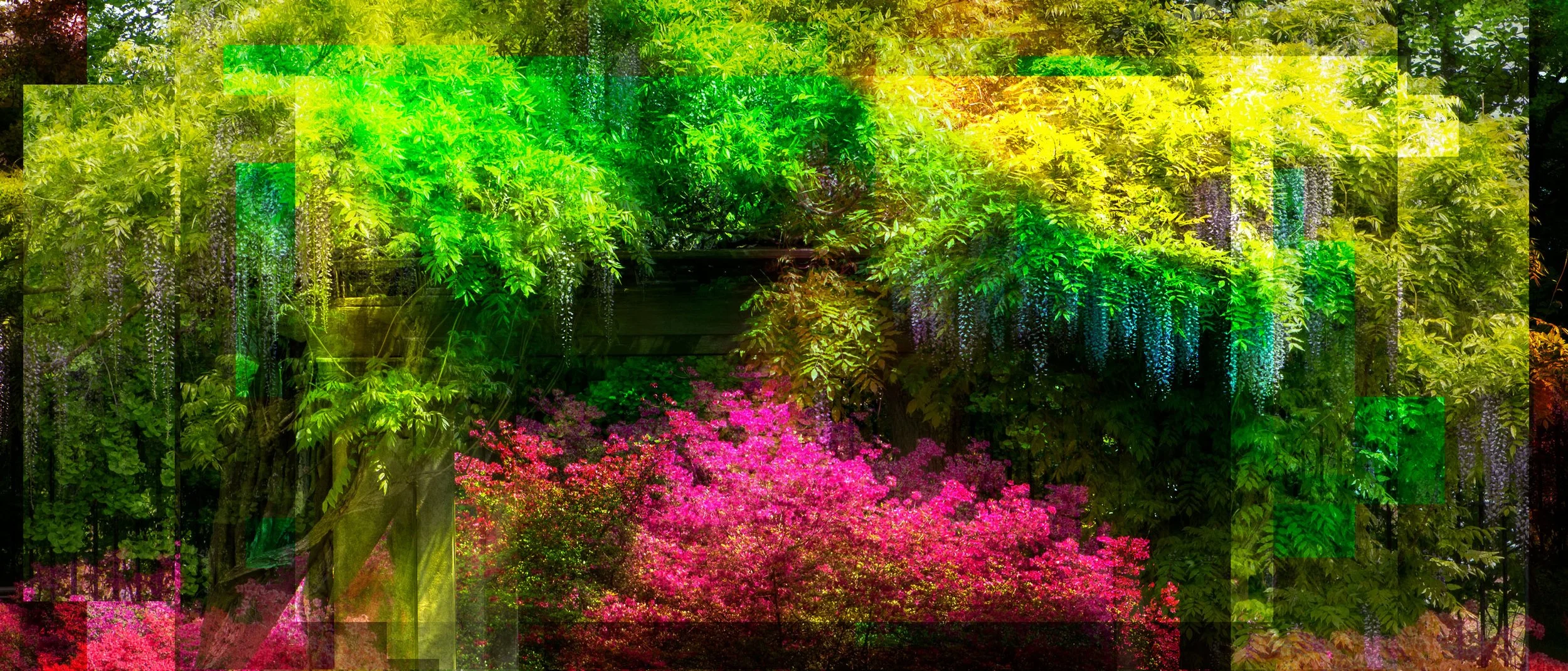 Biophony Festival 2022