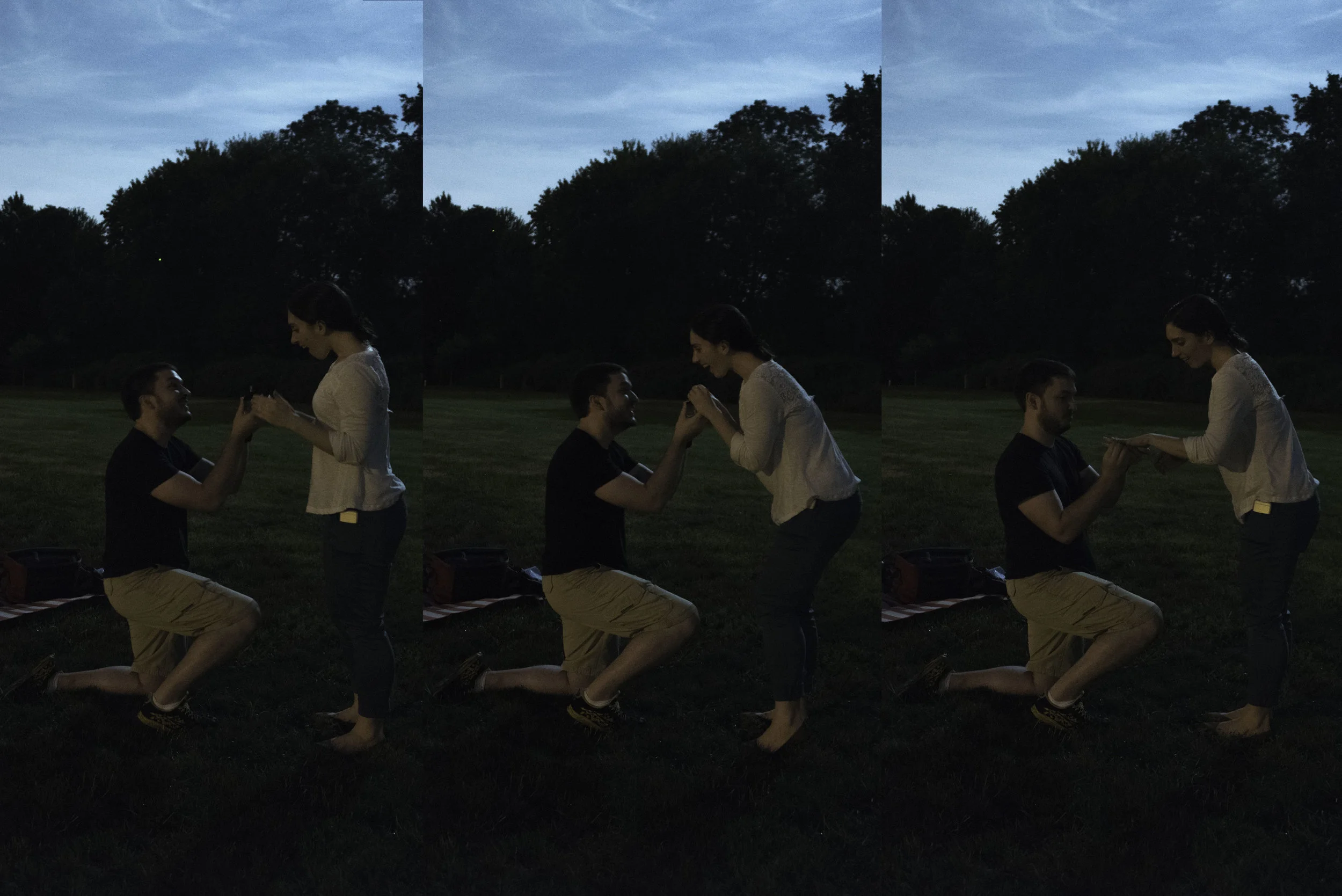 triproposal.jpg