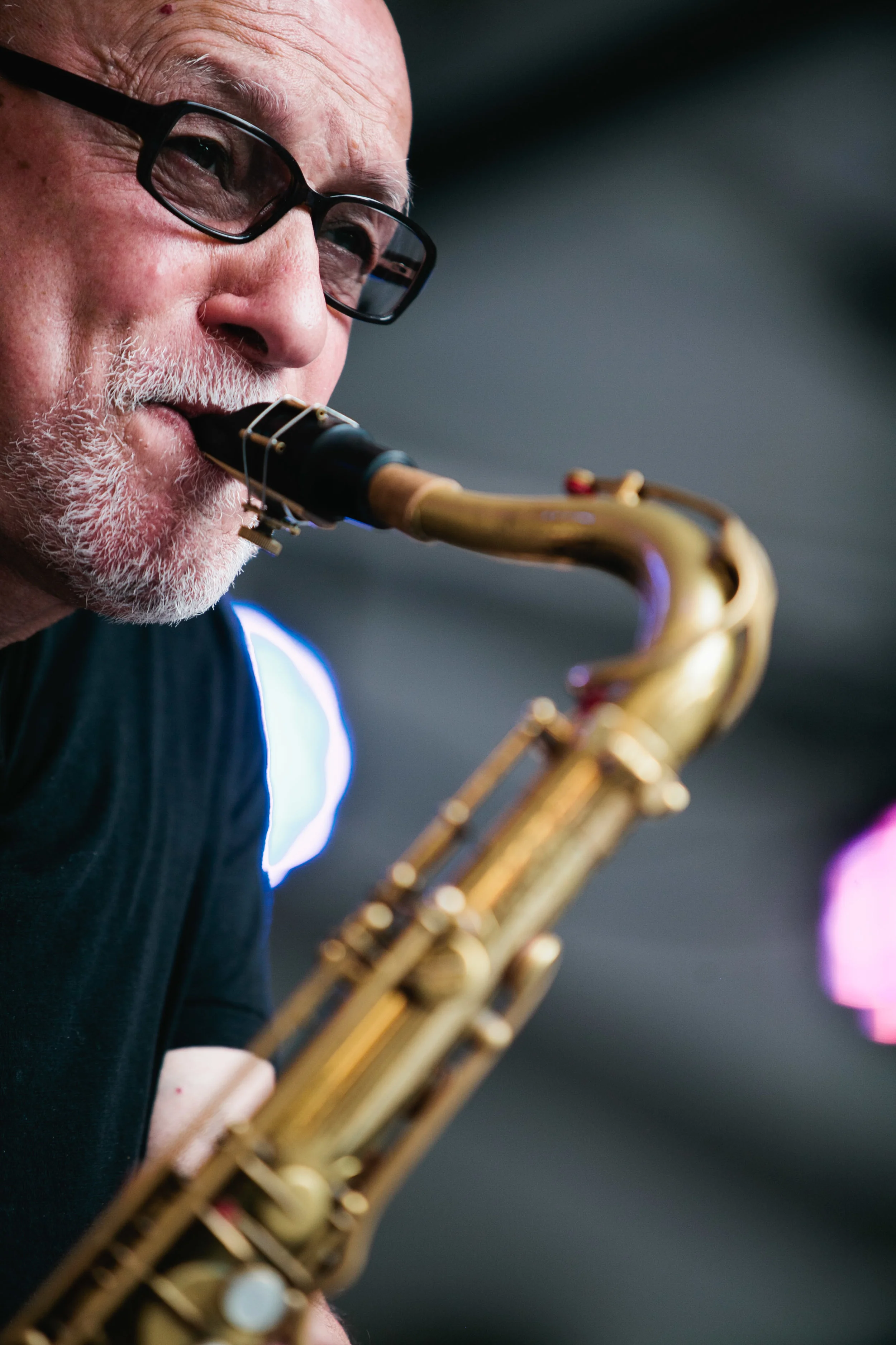Lou Stellute