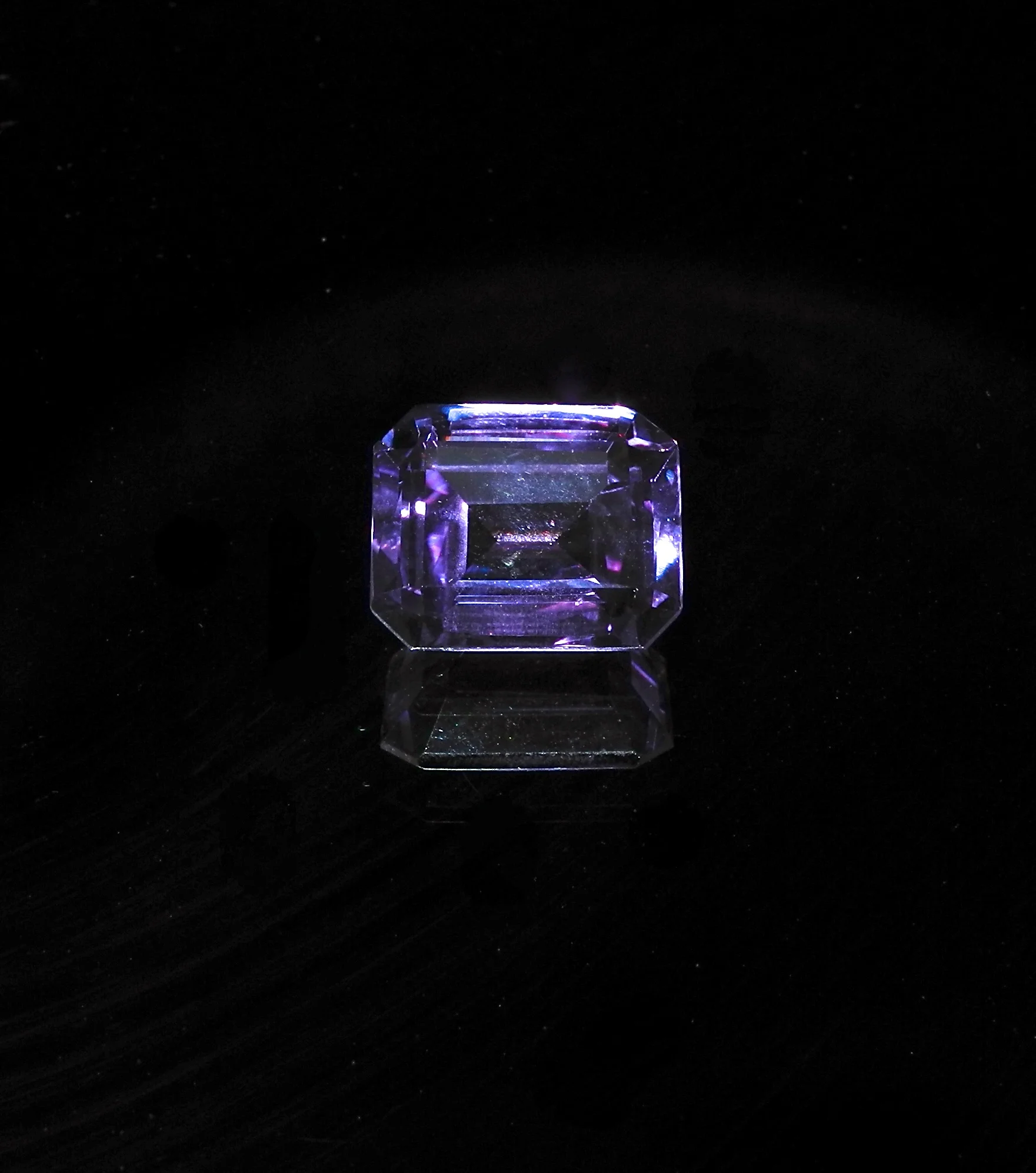 DSCN8426.jpg