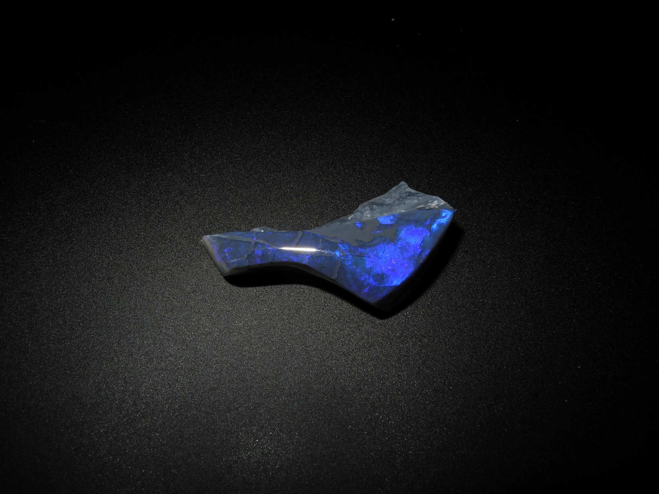 DSCN8409.jpg