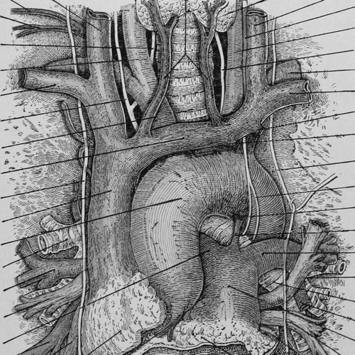 Ditki, Medical & Biological Sciences on X: If your science classes are  overwhelming, try our Drawing Exercises - break it down into simpler  pieces! #ditki #physiology #meded #medicalscience #medicalschool  #medstudent #usmle #medicine #