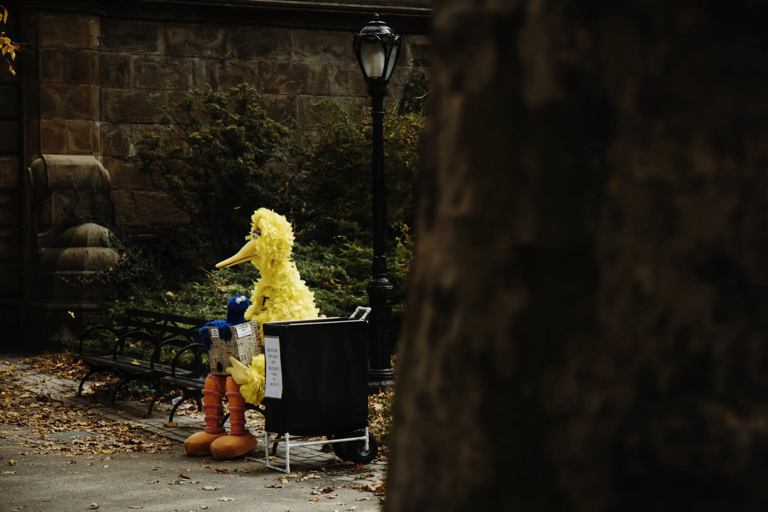 IMG_0016edit copy.JPG