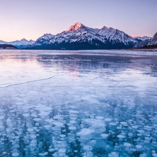 Abraham Lake  — Nature's Dutch Oven