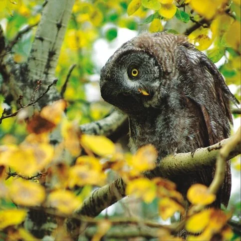 Highlights from Highline Exhibitions and Events