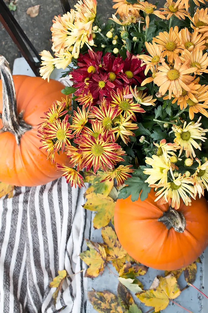 StillLife_FallPorch.jpg