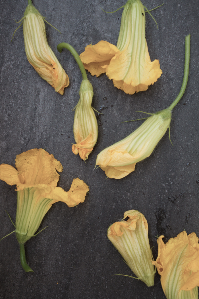 StillLife_PumpkinFlowers.jpg