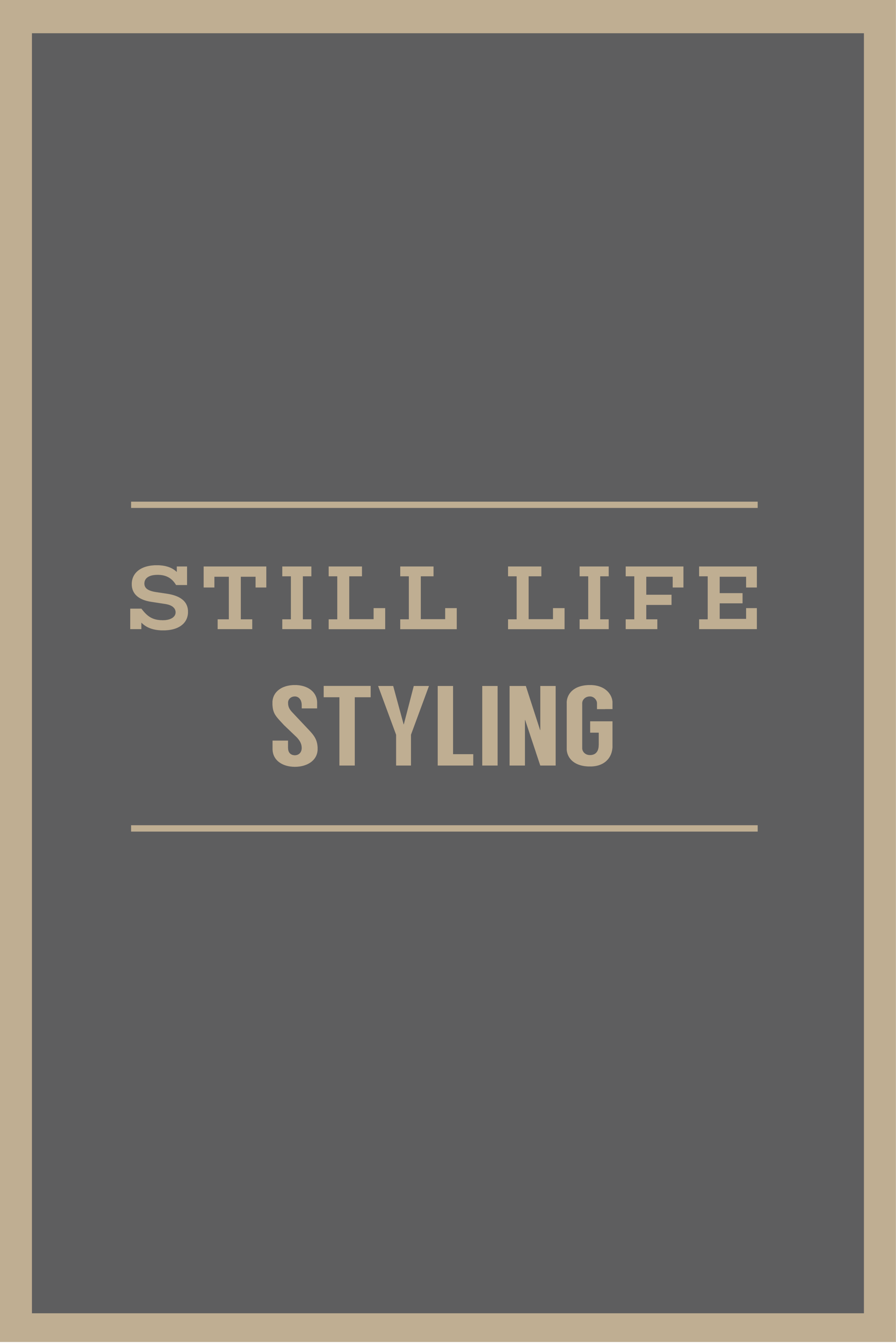 PortfolioCovers-05.png