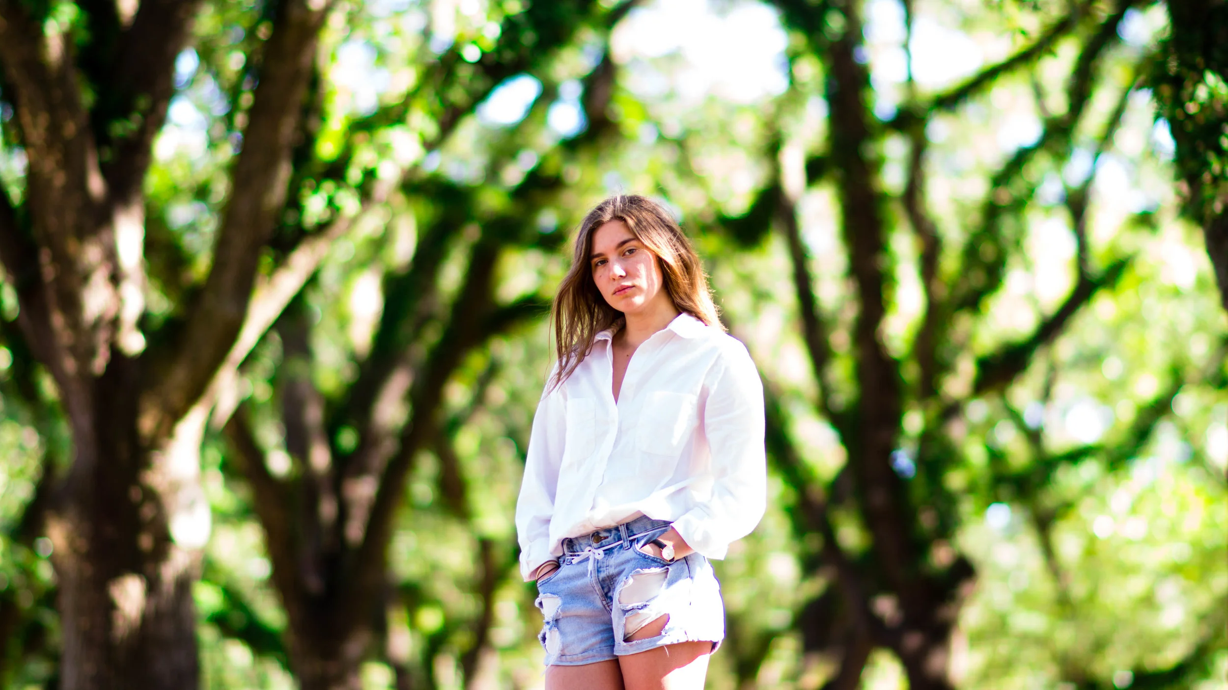 Andrea Gerlach | South Boulevard
