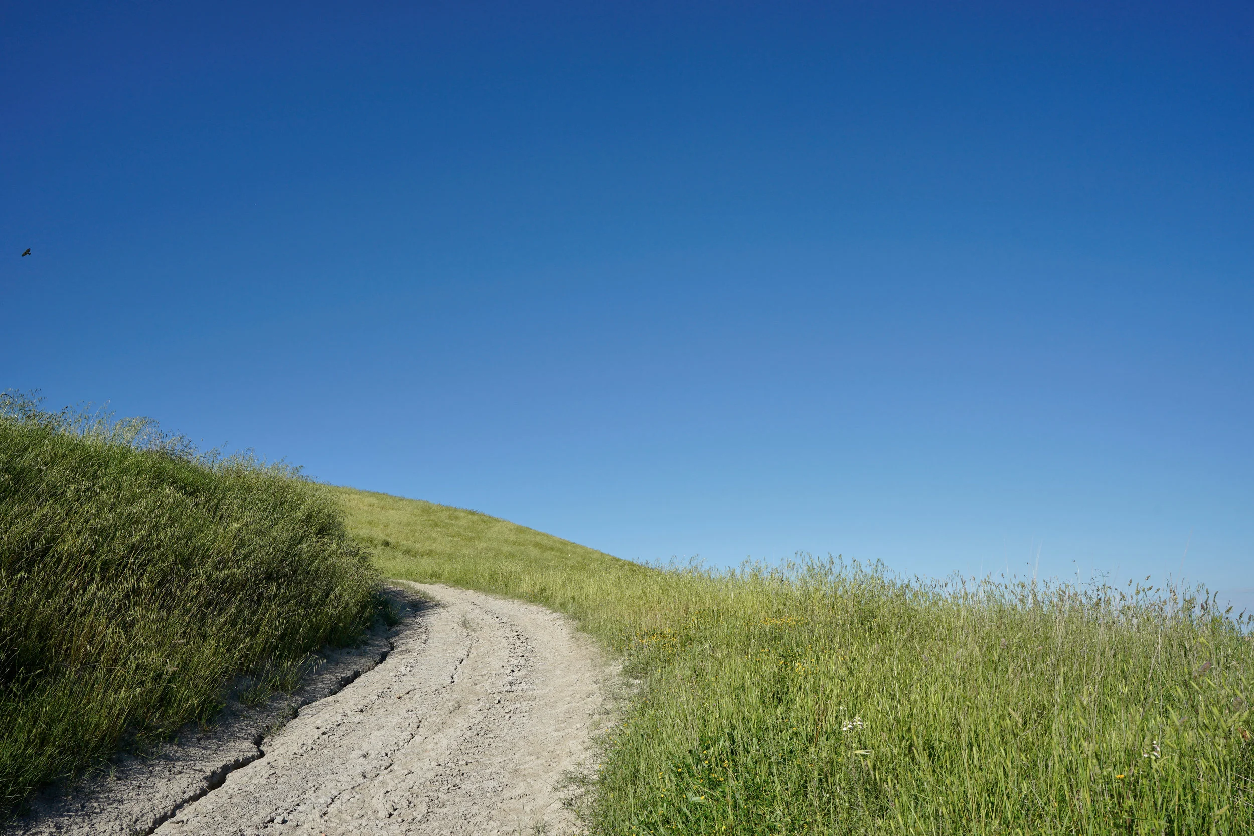 My favorite places for fresh air and exercise