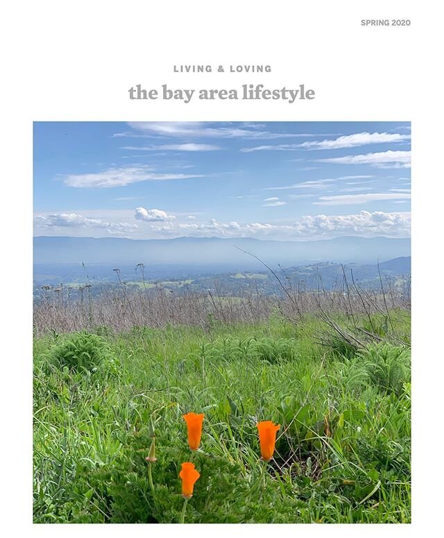 Check your mailboxes for the latest issue of the Bay Area lifestyle. While I wrote this edition before the protests, I believe the concepts explored are still appropriate. I also touch on current real estate trends. If you&rsquo;d like a copy make su