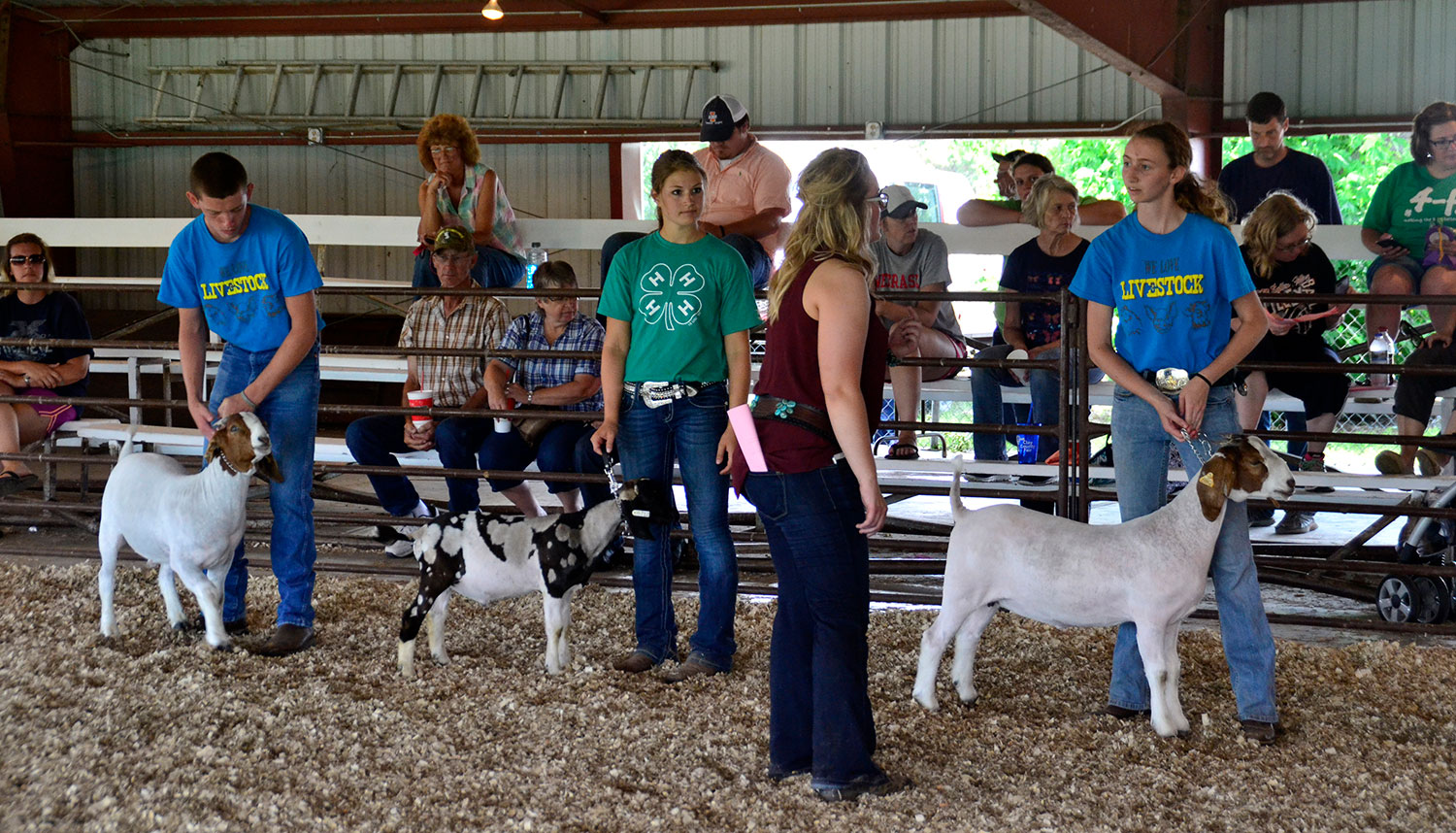 fair-photo-1.jpg