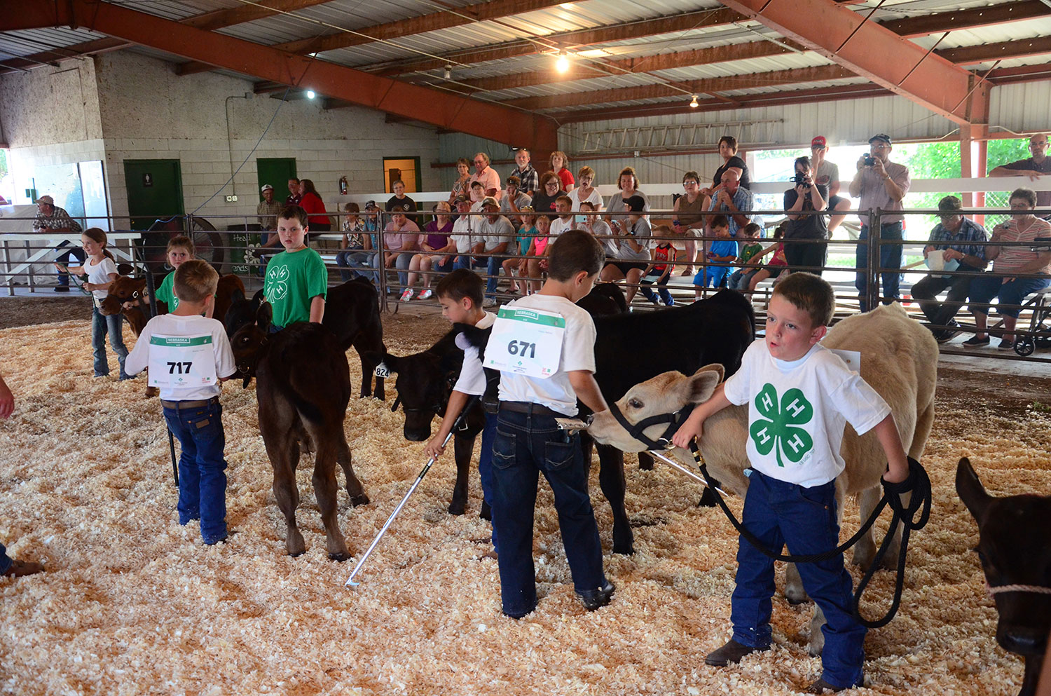 fair-photo-5.jpg