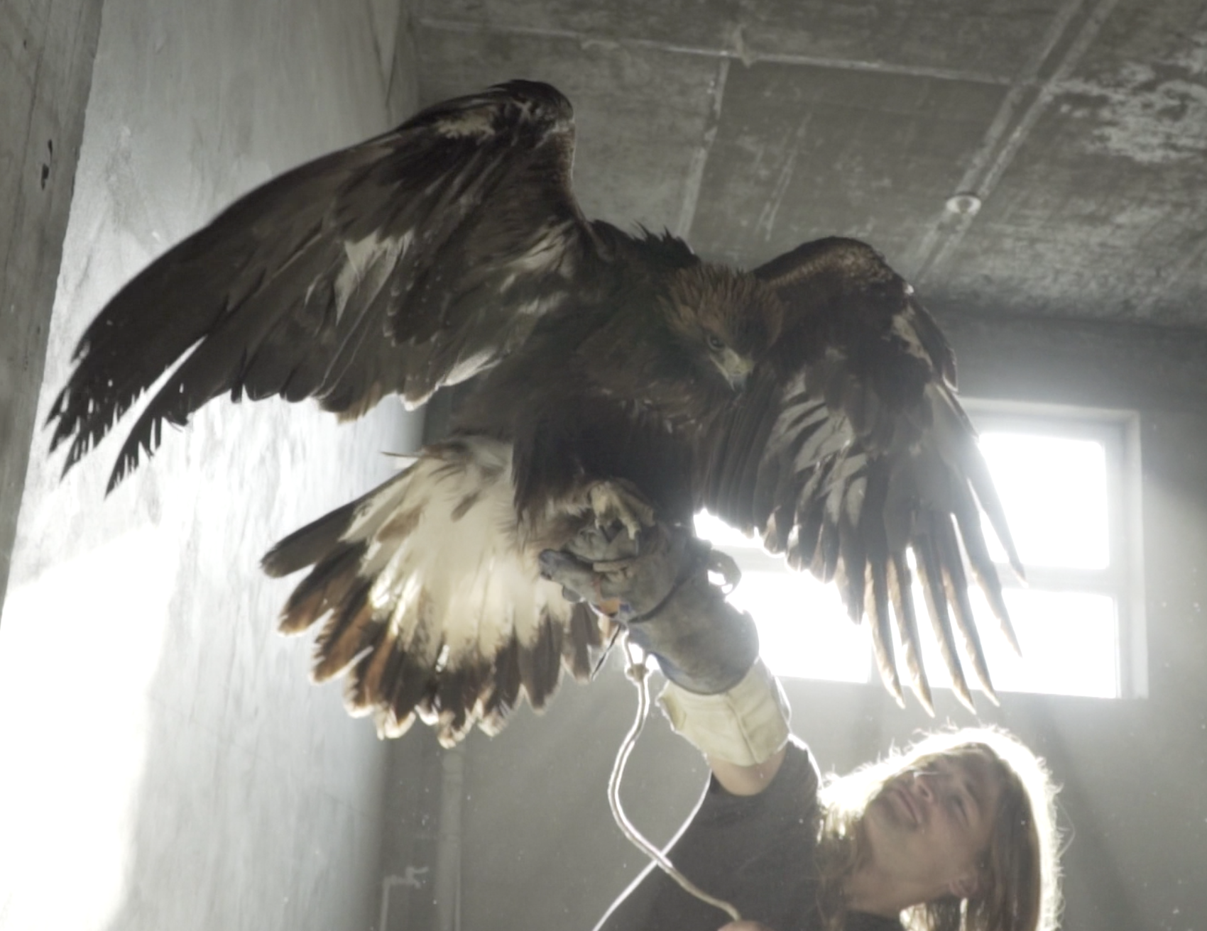 Screen Shot 2016-10-12 at 6.15.21 PM.png